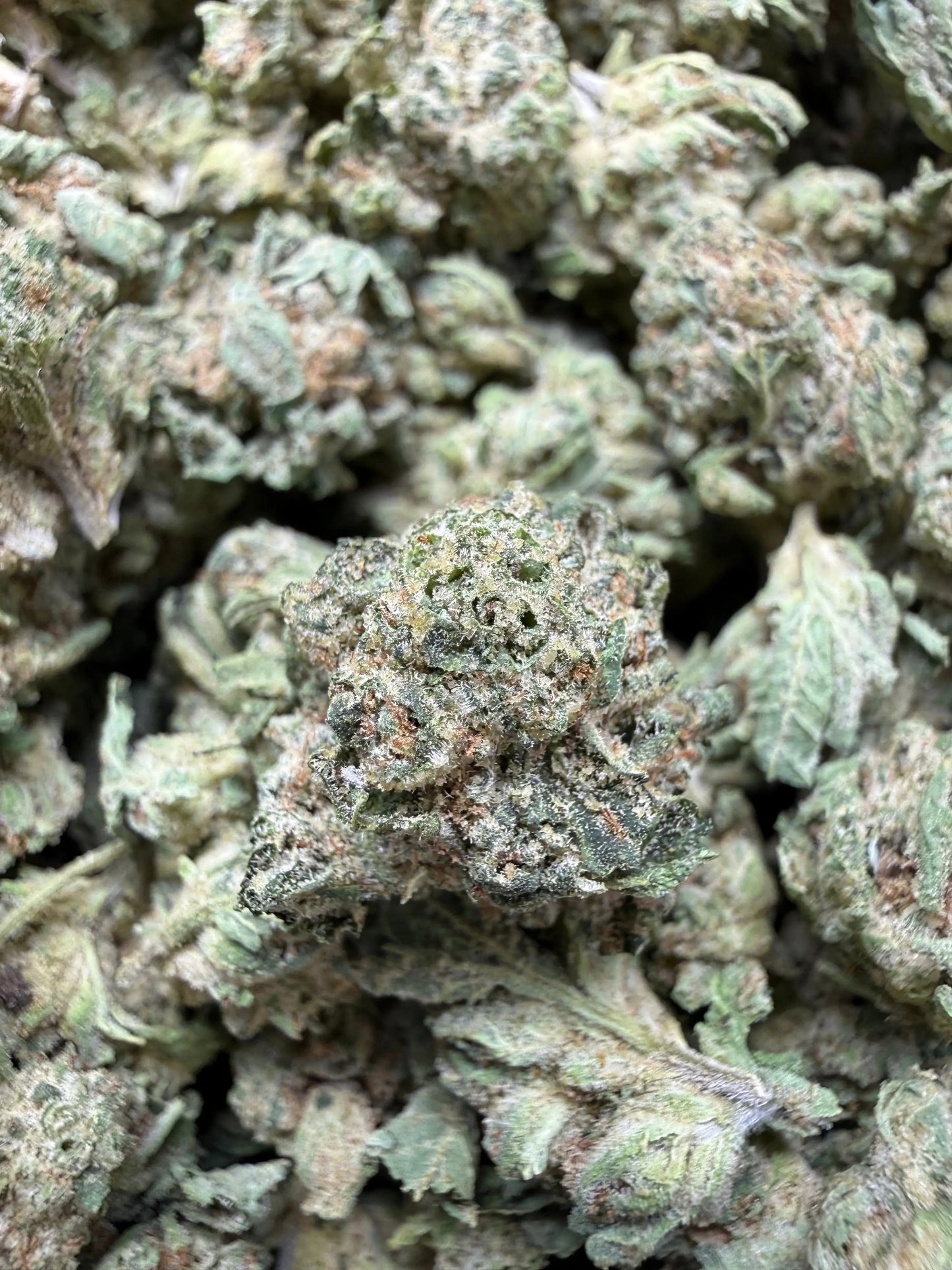 1 Pound - Pure Power Plant THCA Strain (Smalls) Frisco Labs