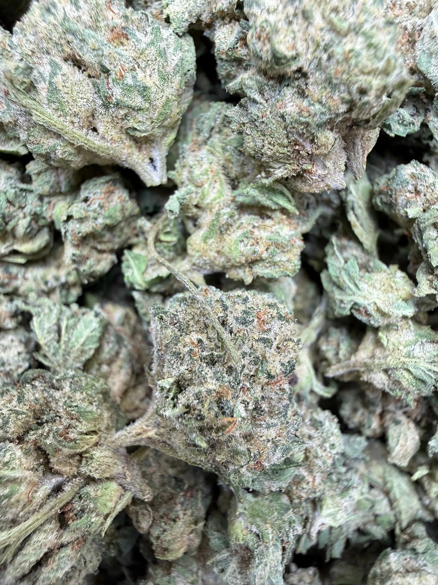 1 Pound - Pure Power Plant THCA Strain (Smalls) Frisco Labs