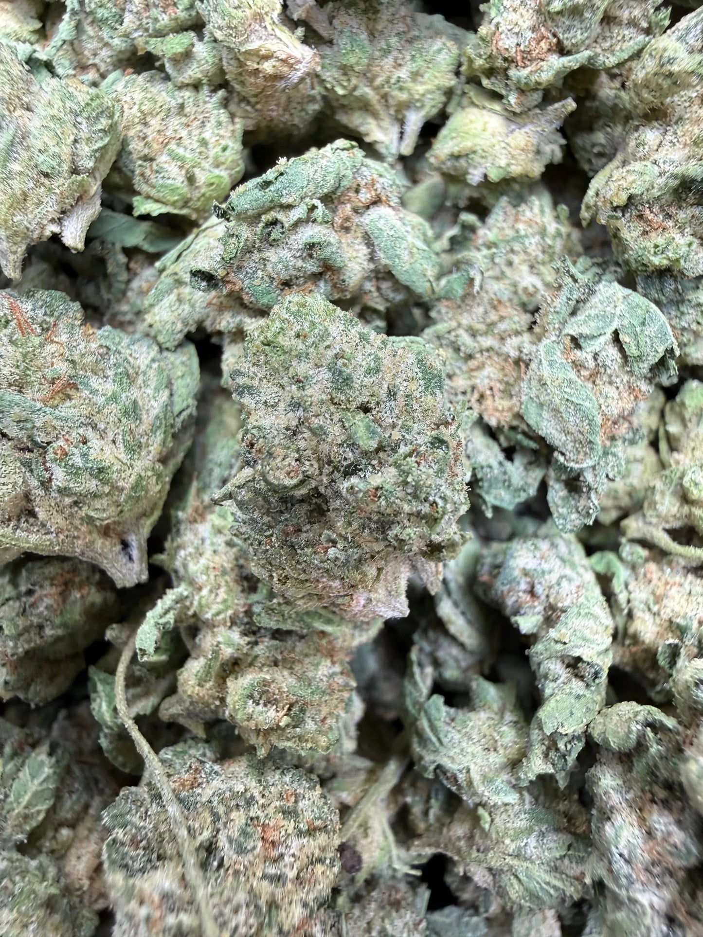 1 Pound - Pure Power Plant THCA Strain (Smalls) Frisco Labs