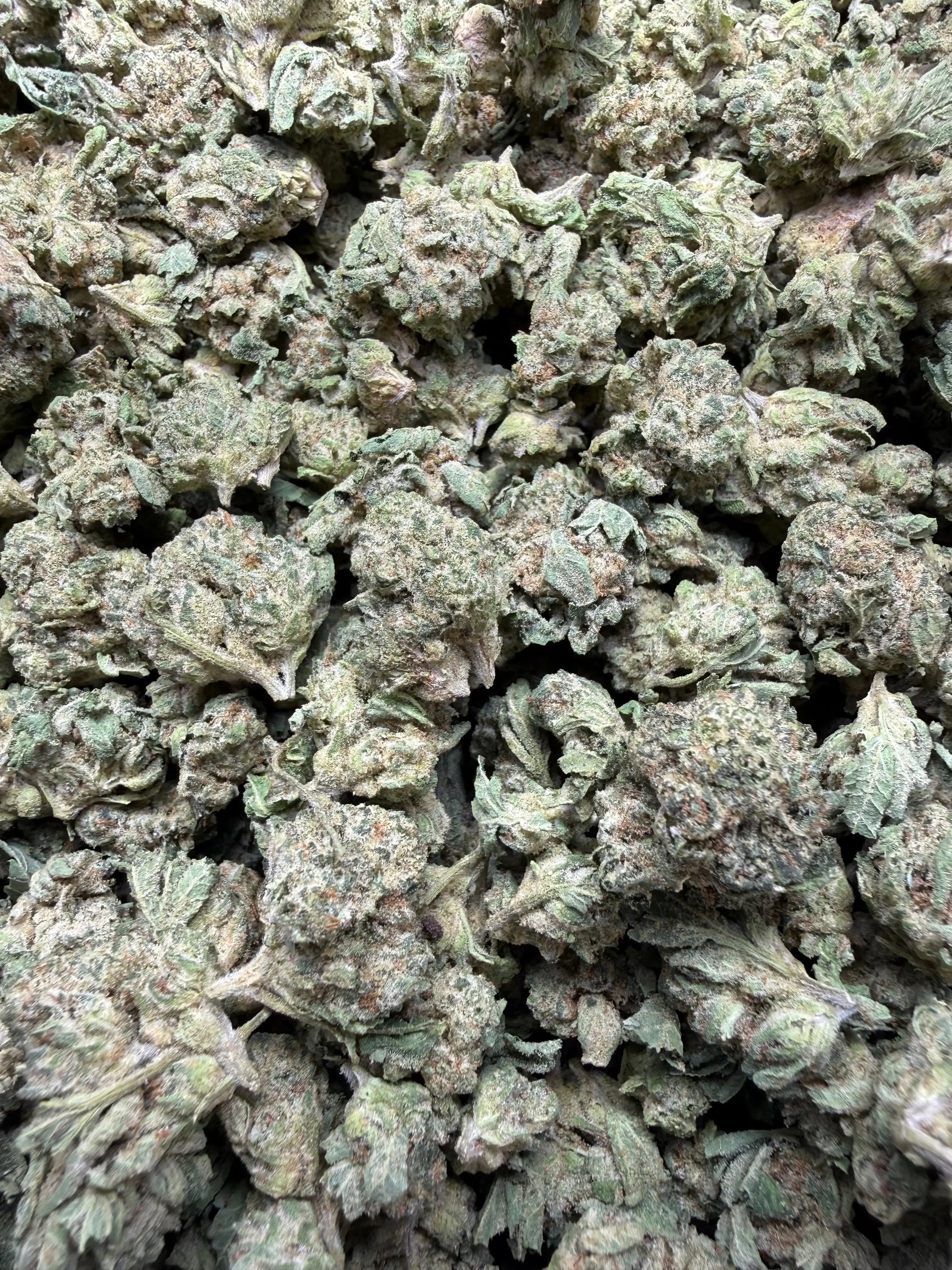 1 Pound - Pure Power Plant THCA Strain (Smalls) Frisco Labs