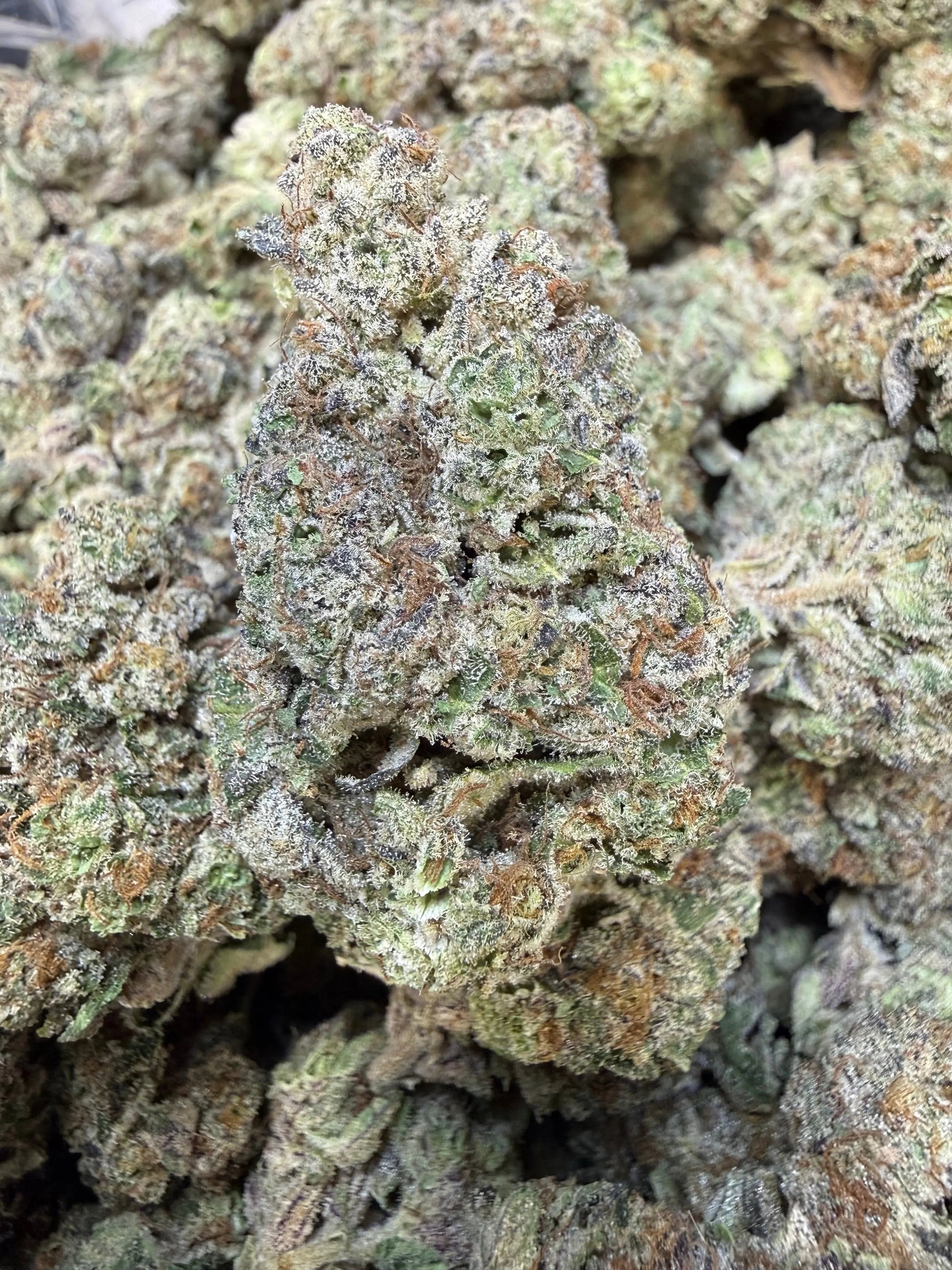 1 Pound - Purple Certz THCA Strain Frisco Labs