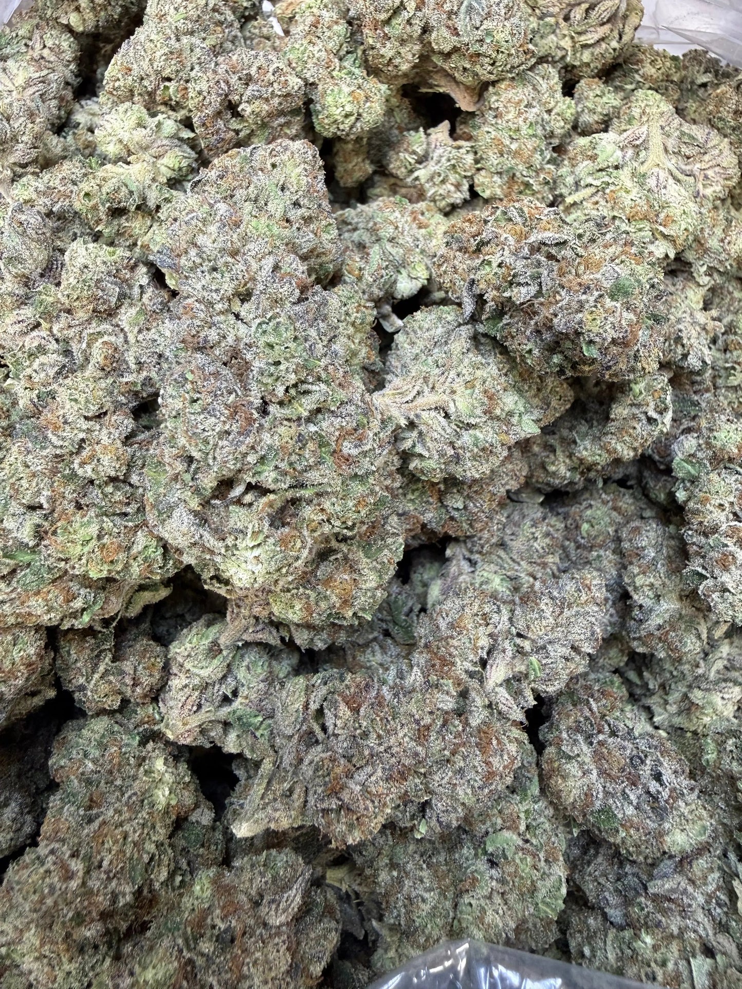 1 Pound - Purple Certz THCA Strain Frisco Labs