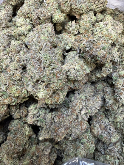 1 Pound - Purple Certz THCA Strain Frisco Labs