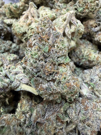 1 Pound - Purple Certz THCA Strain Frisco Labs