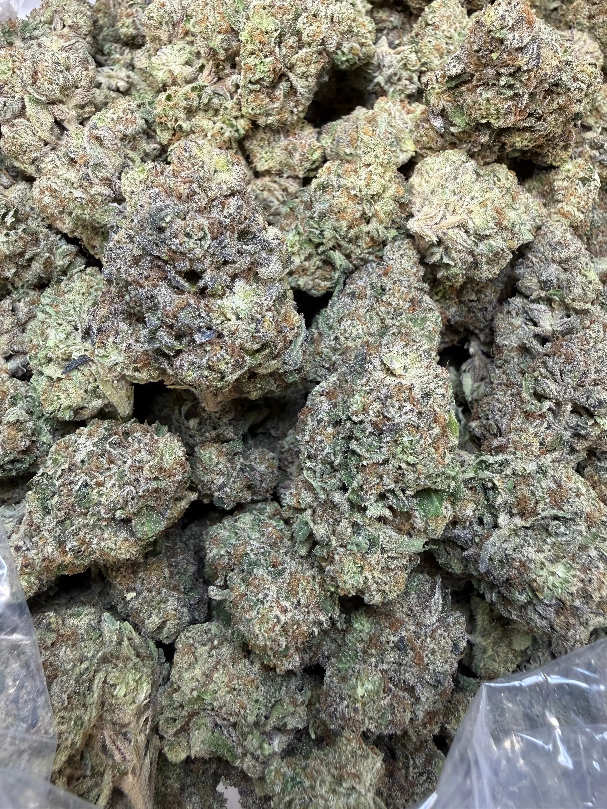 1 Pound - Purple Certz THCA Strain Frisco Labs