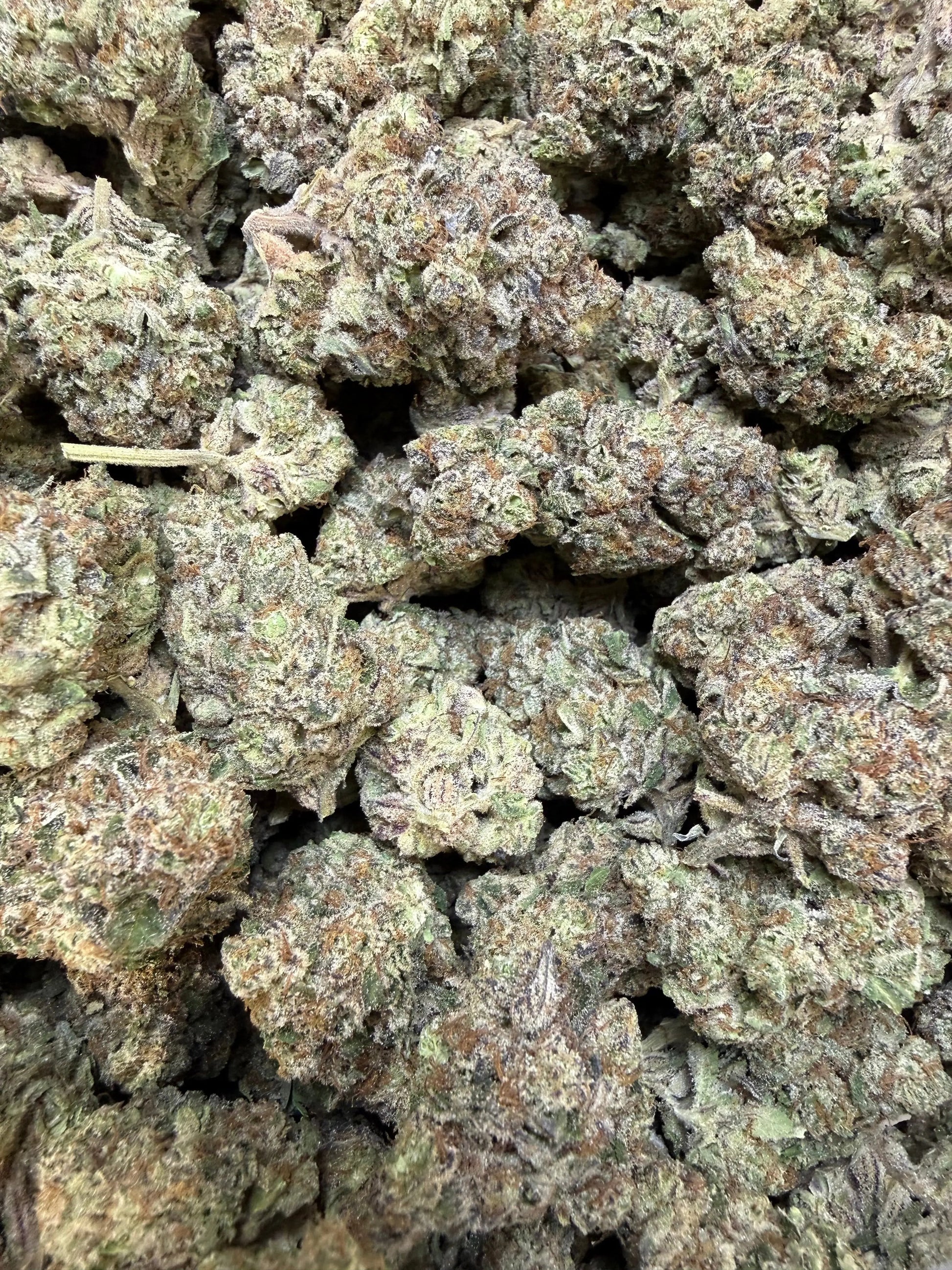 1 Pound - Purple Certz THCA Strain Frisco Labs