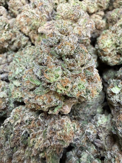 1 Pound - Purple Certz THCA Strain Frisco Labs