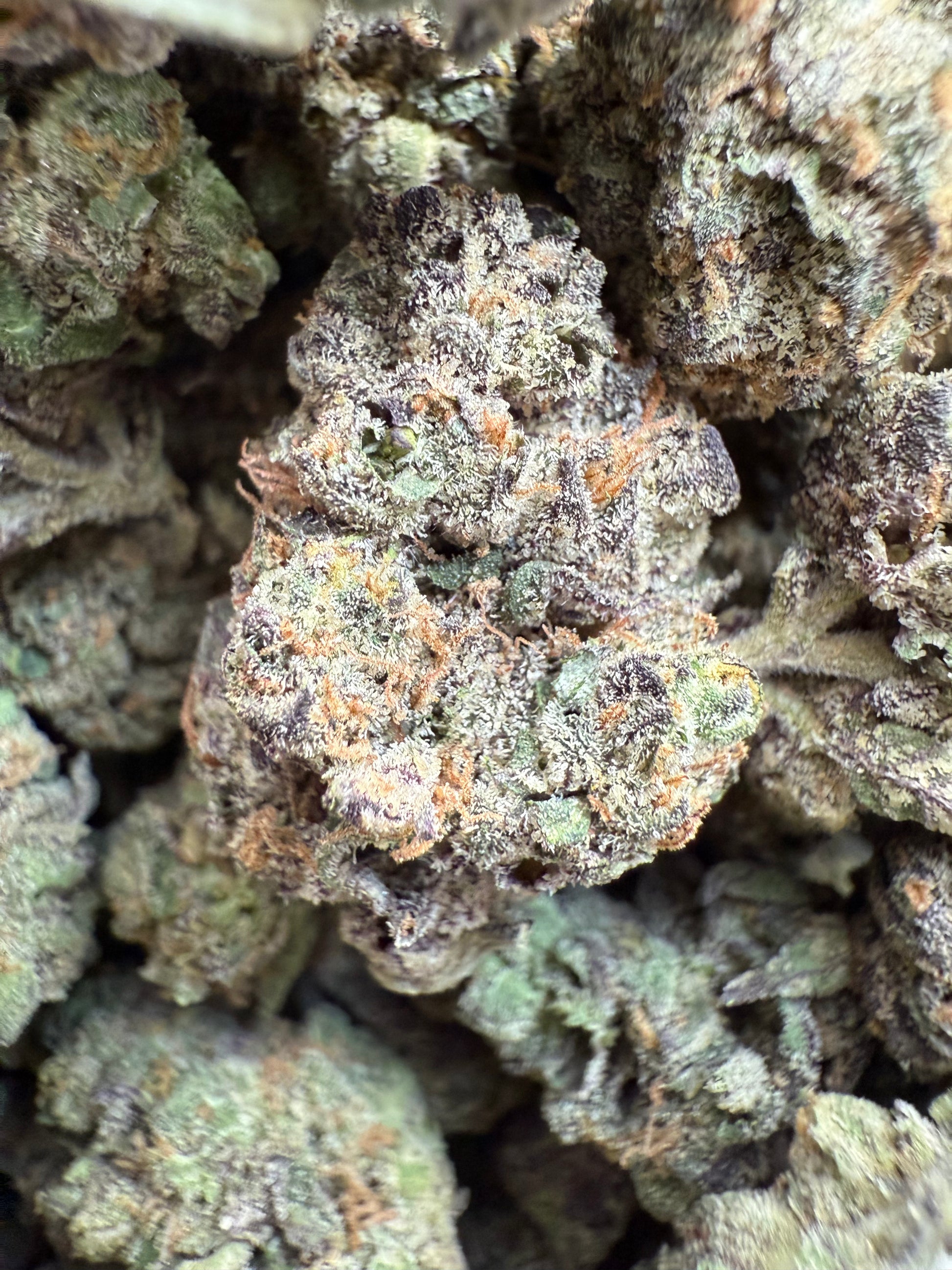 1 Pound Purple Pineapple Sherbet THCA FL Fulfillment Center