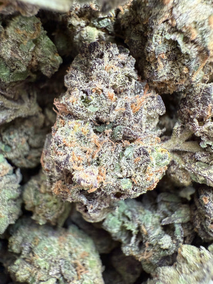 1 Pound Purple Pineapple Sherbet THCA FL Fulfillment Center