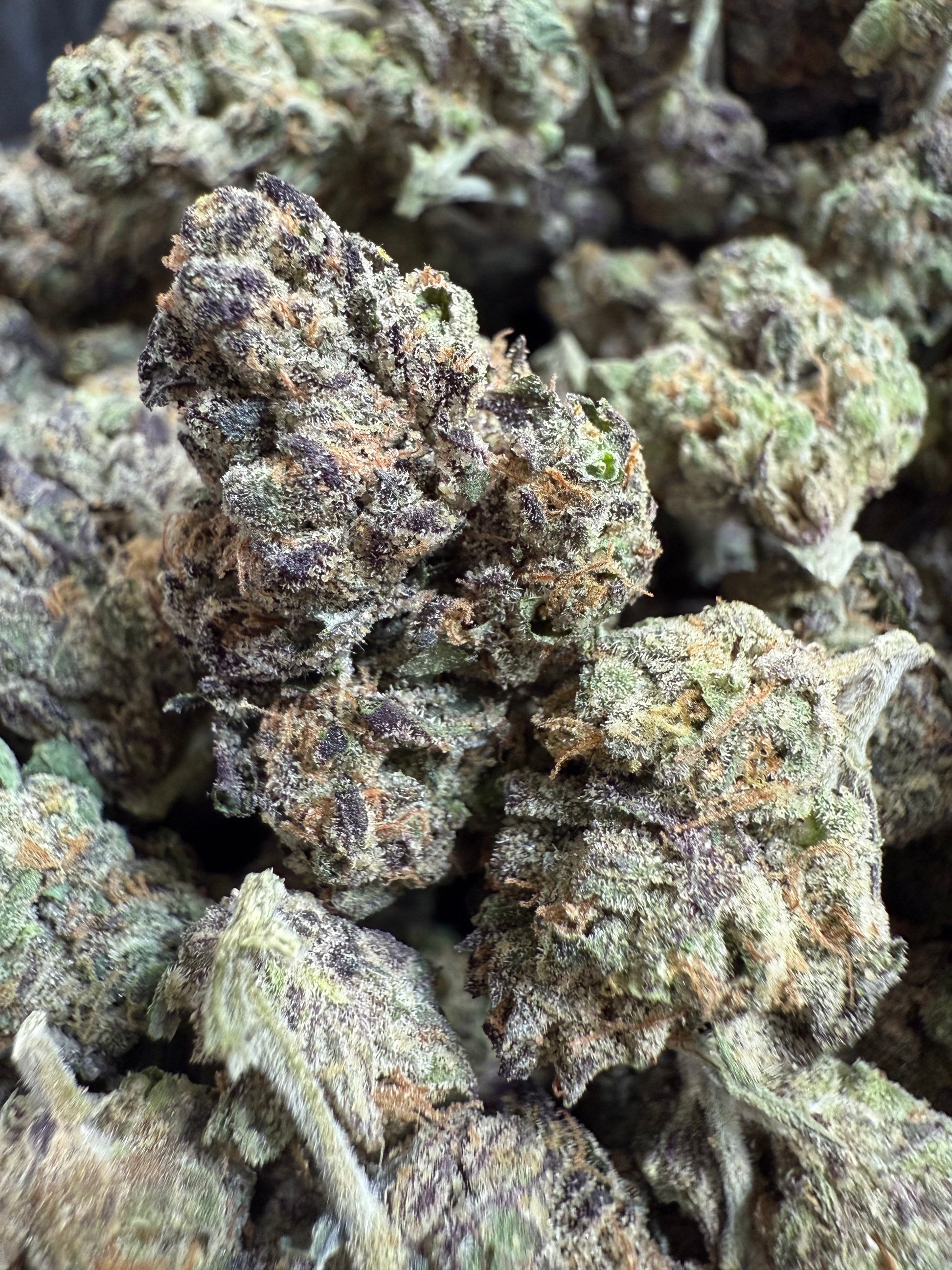 1 Pound Purple Pineapple Sherbet THCA FL Fulfillment Center