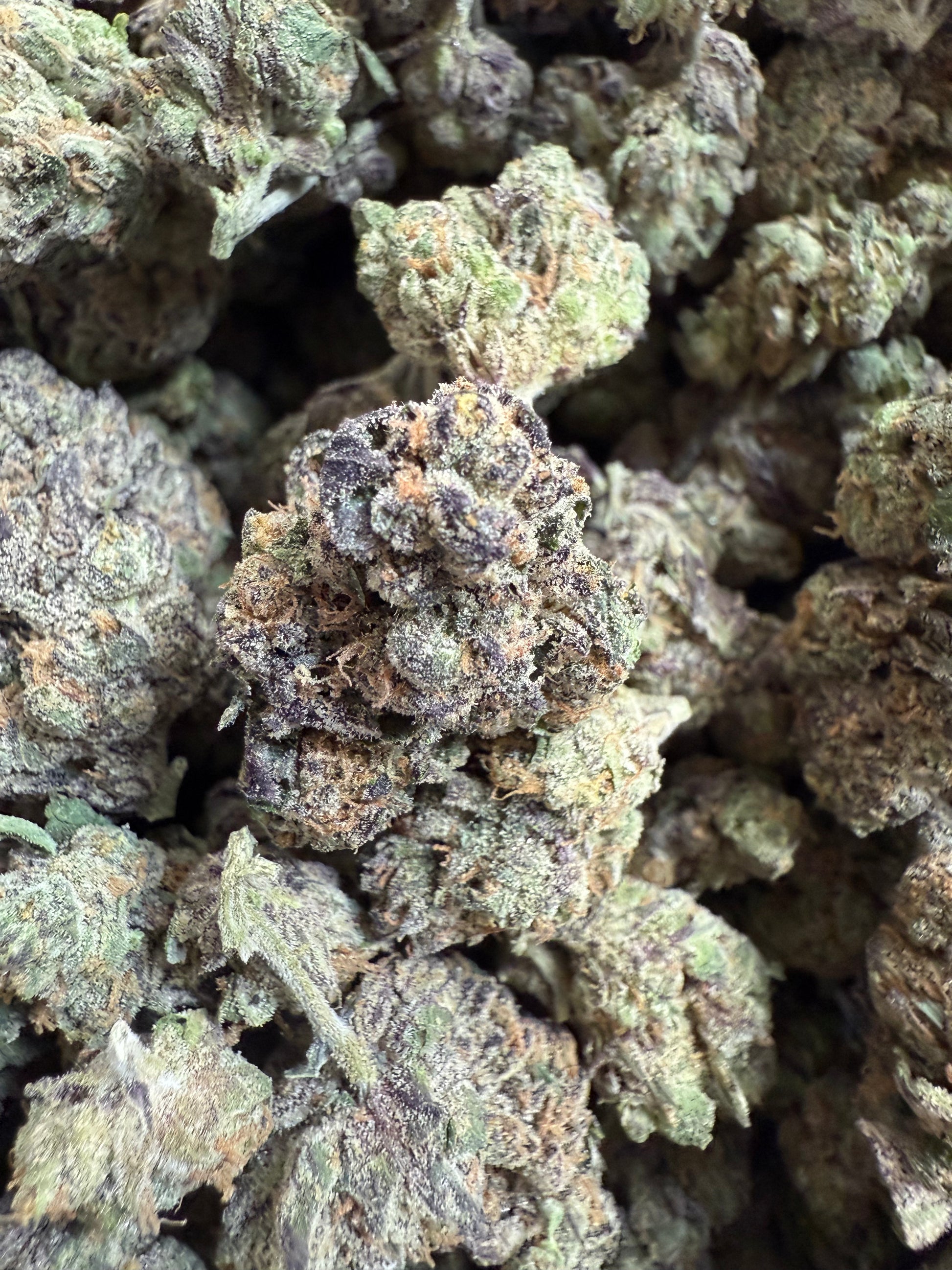 1 Pound Purple Pineapple Sherbet THCA FL Fulfillment Center