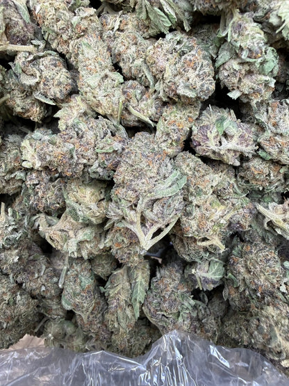 1 Pound Purple Sunset BX2 THCA Flower | Light Dep Hemp | Frisco Labs ...