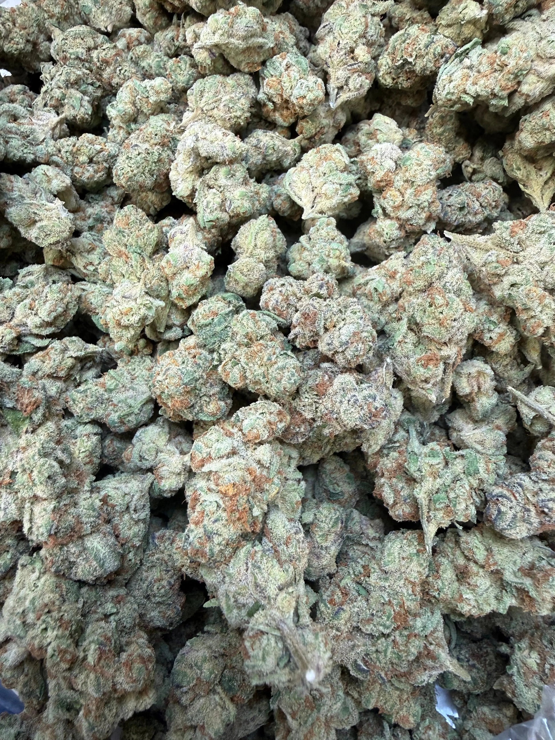 1 Pound - Purple Tesla THCA Strain Frisco Labs