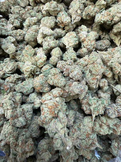 1 Pound - Purple Tesla THCA Strain Frisco Labs