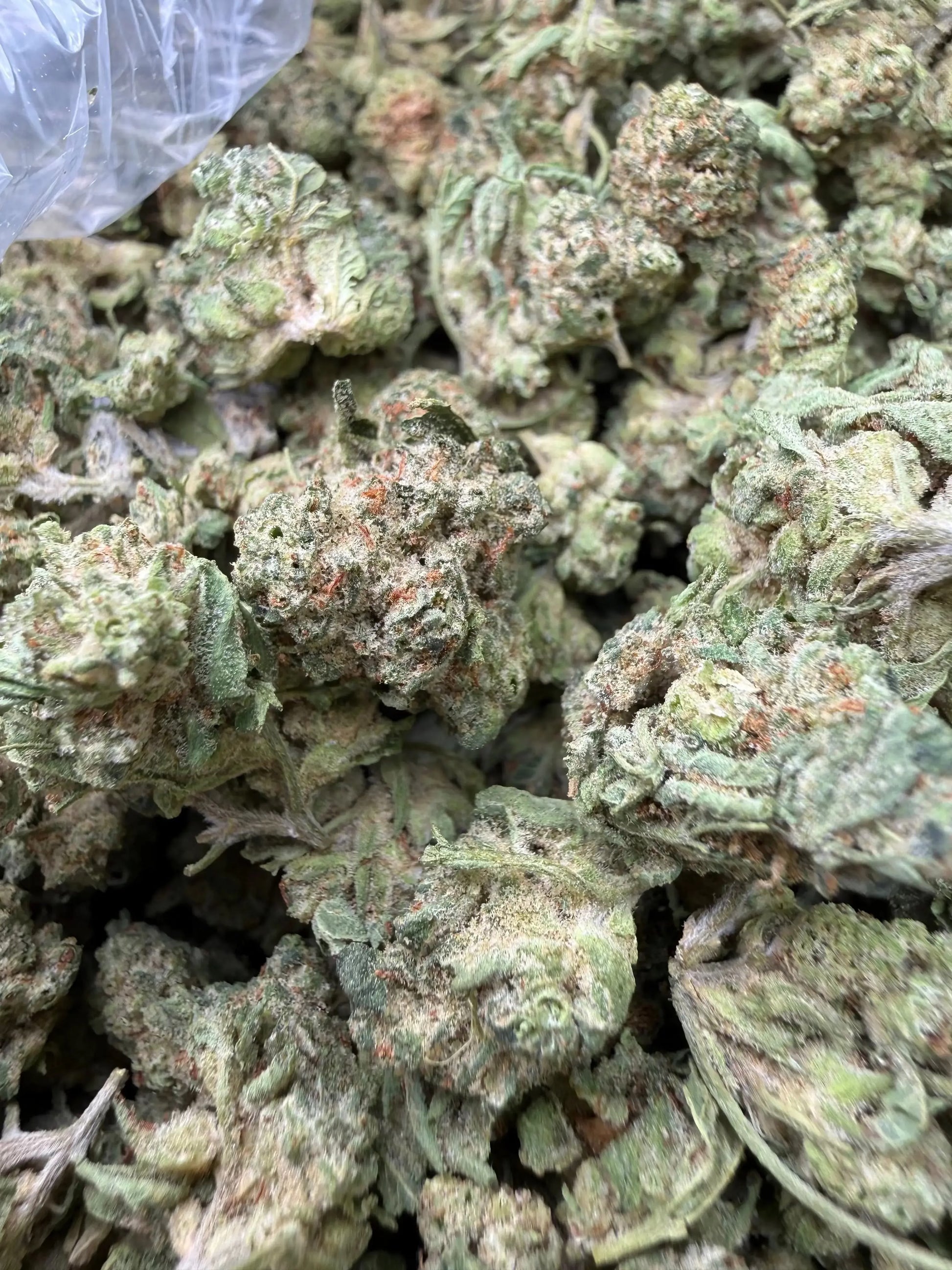 1 Pound - LA Push Pops THCA Strain (Smalls) Frisco Labs