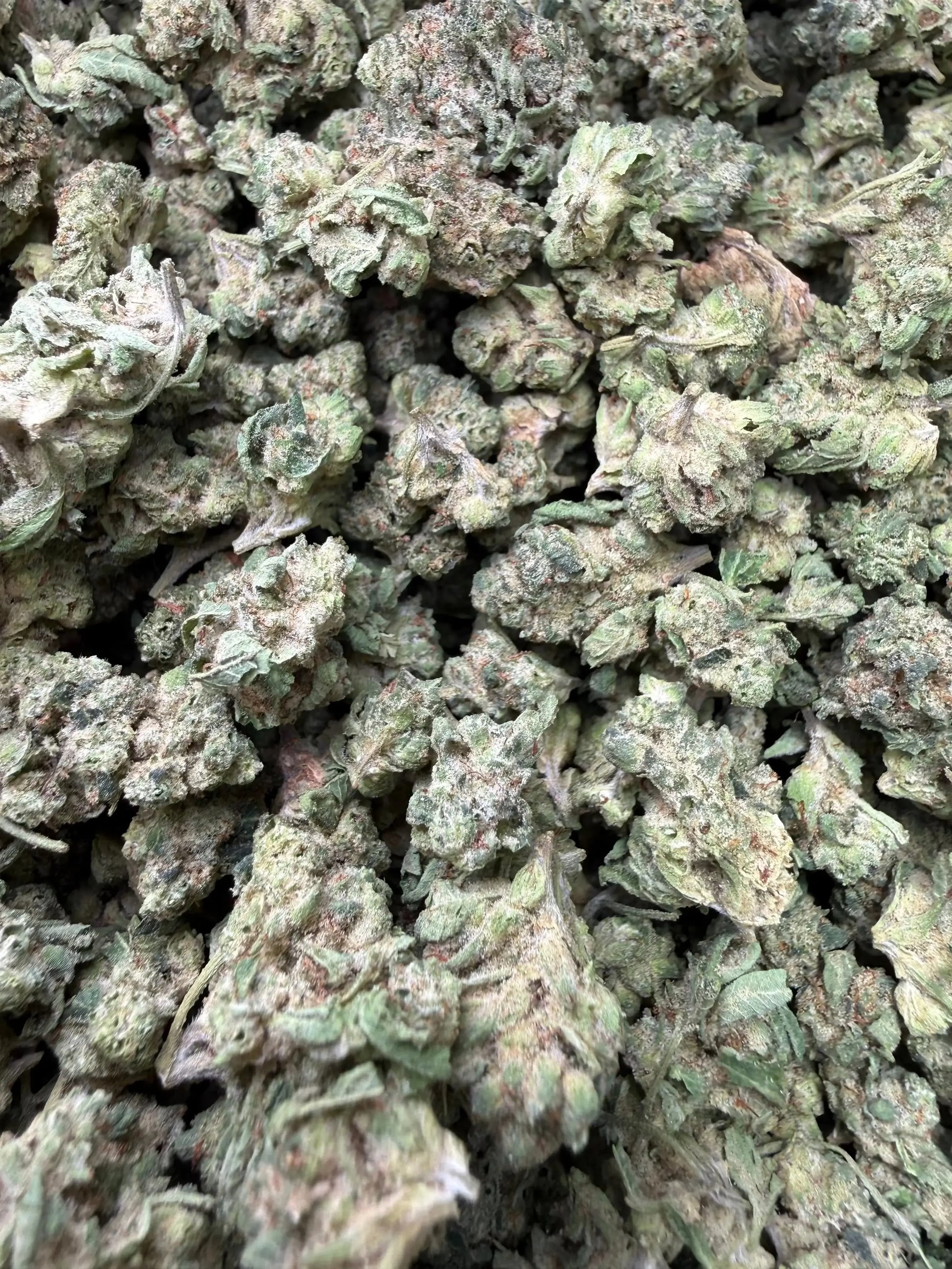 1 Pound - LA Push Pops THCA Strain (Smalls) Frisco Labs