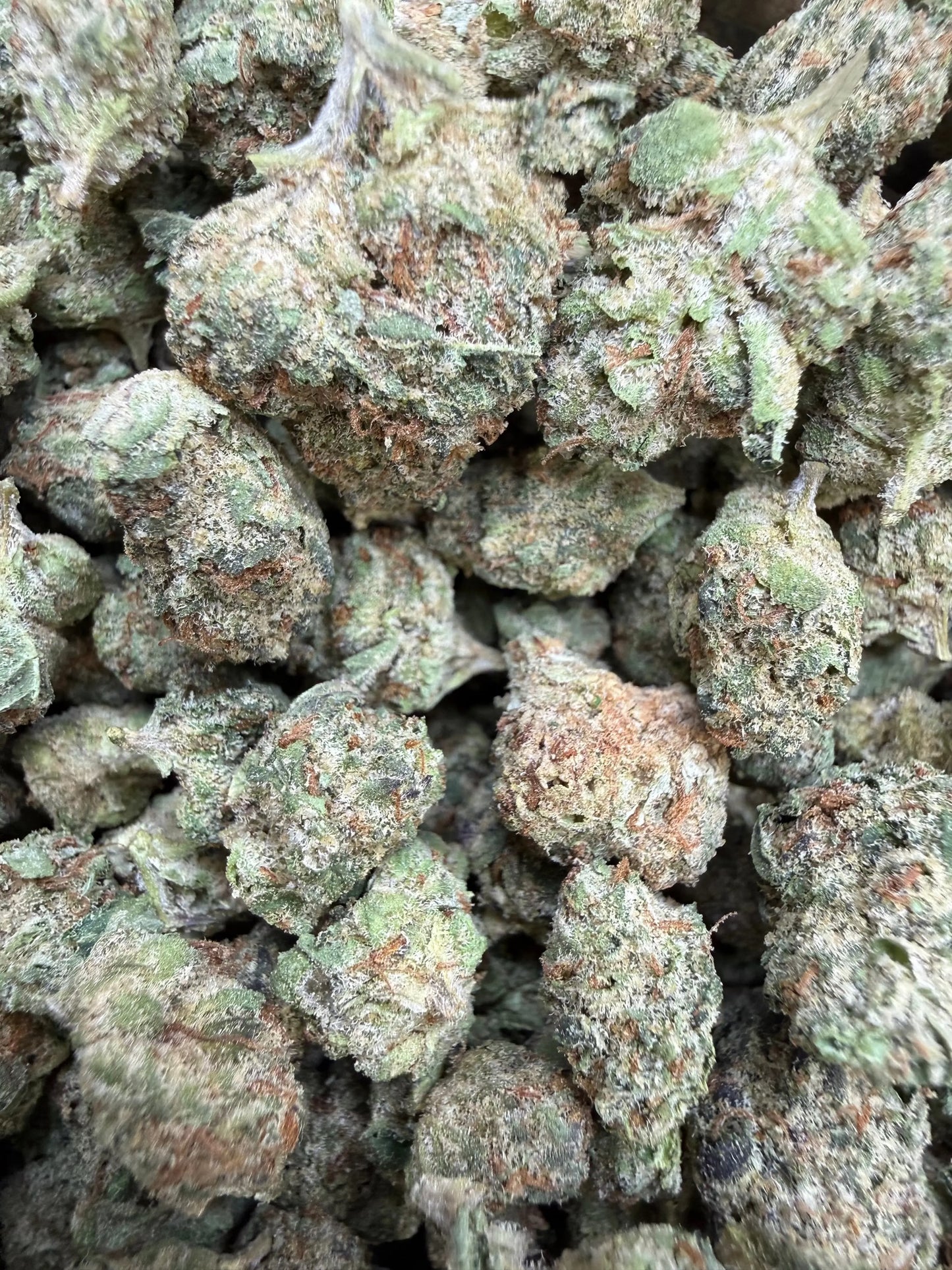 1 Pound - Raspberry Cough THCA Strain (Smalls) Frisco Labs