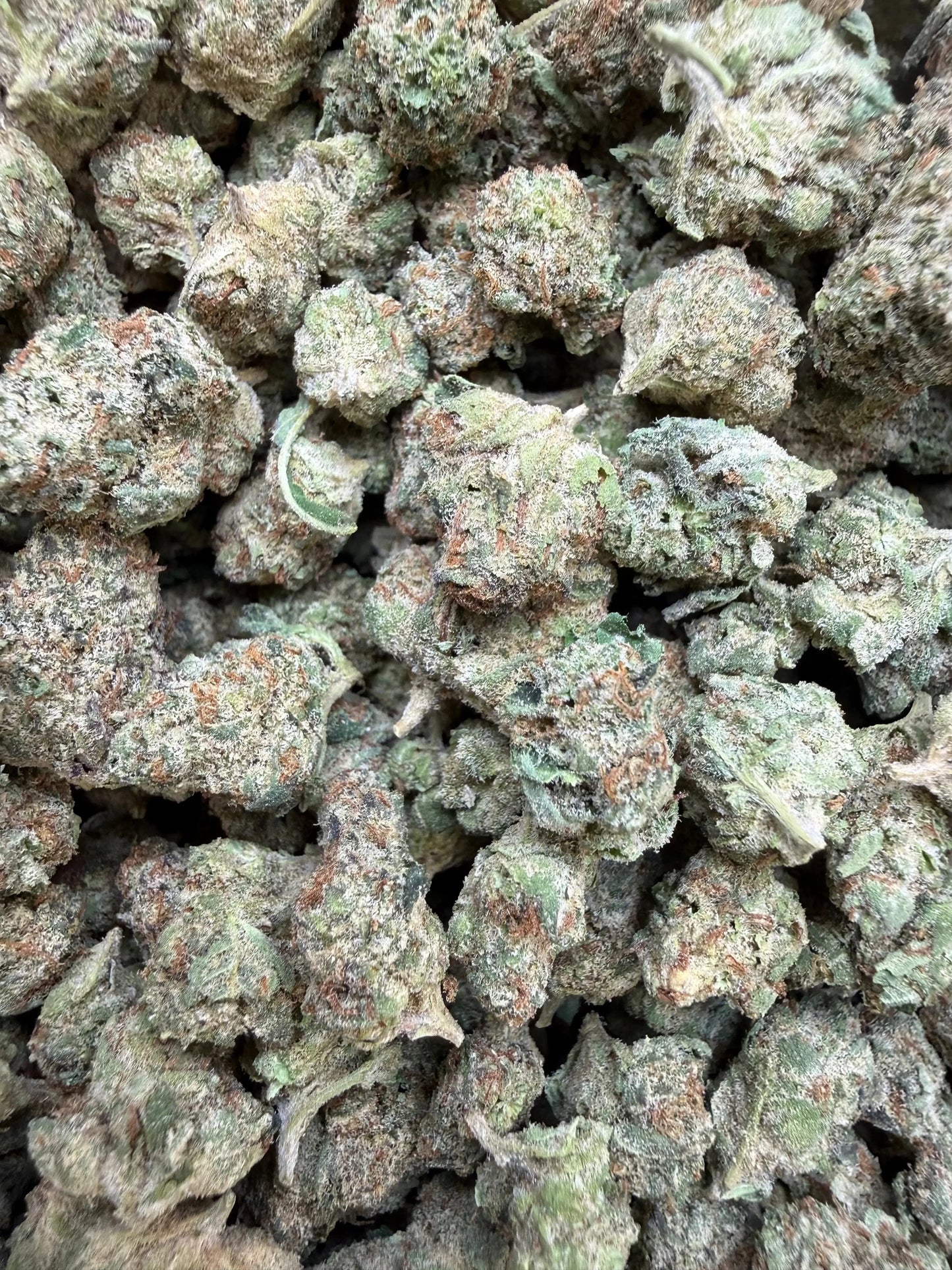 1 Pound - Raspberry Cough THCA Strain (Smalls) Frisco Labs