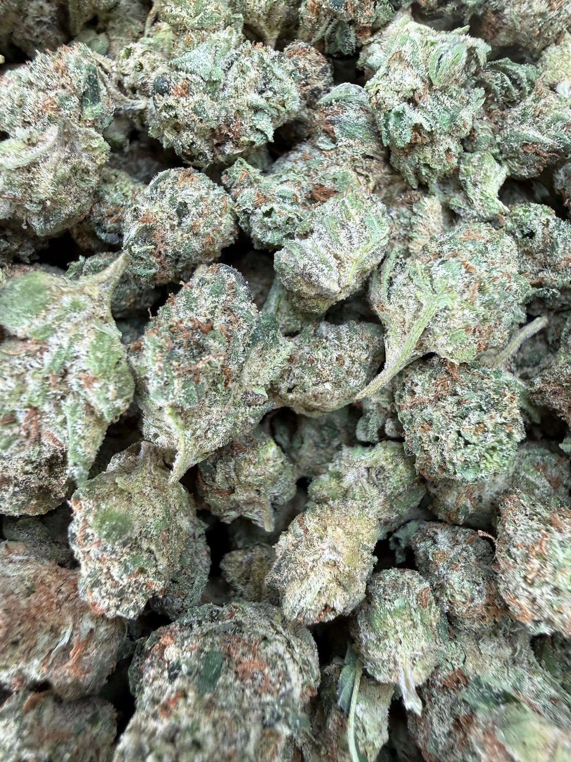 1 Pound - Raspberry Cough THCA Strain (Smalls) Frisco Labs