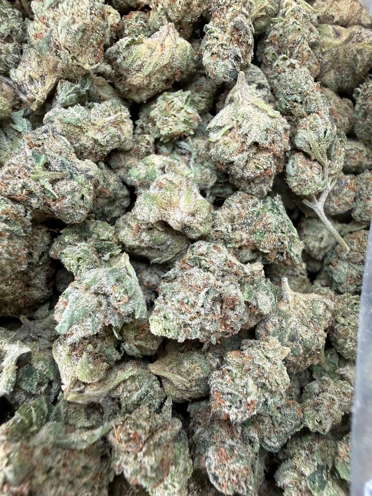 1 Pound - Raspberry Cough THCA Strain (Smalls) Frisco Labs