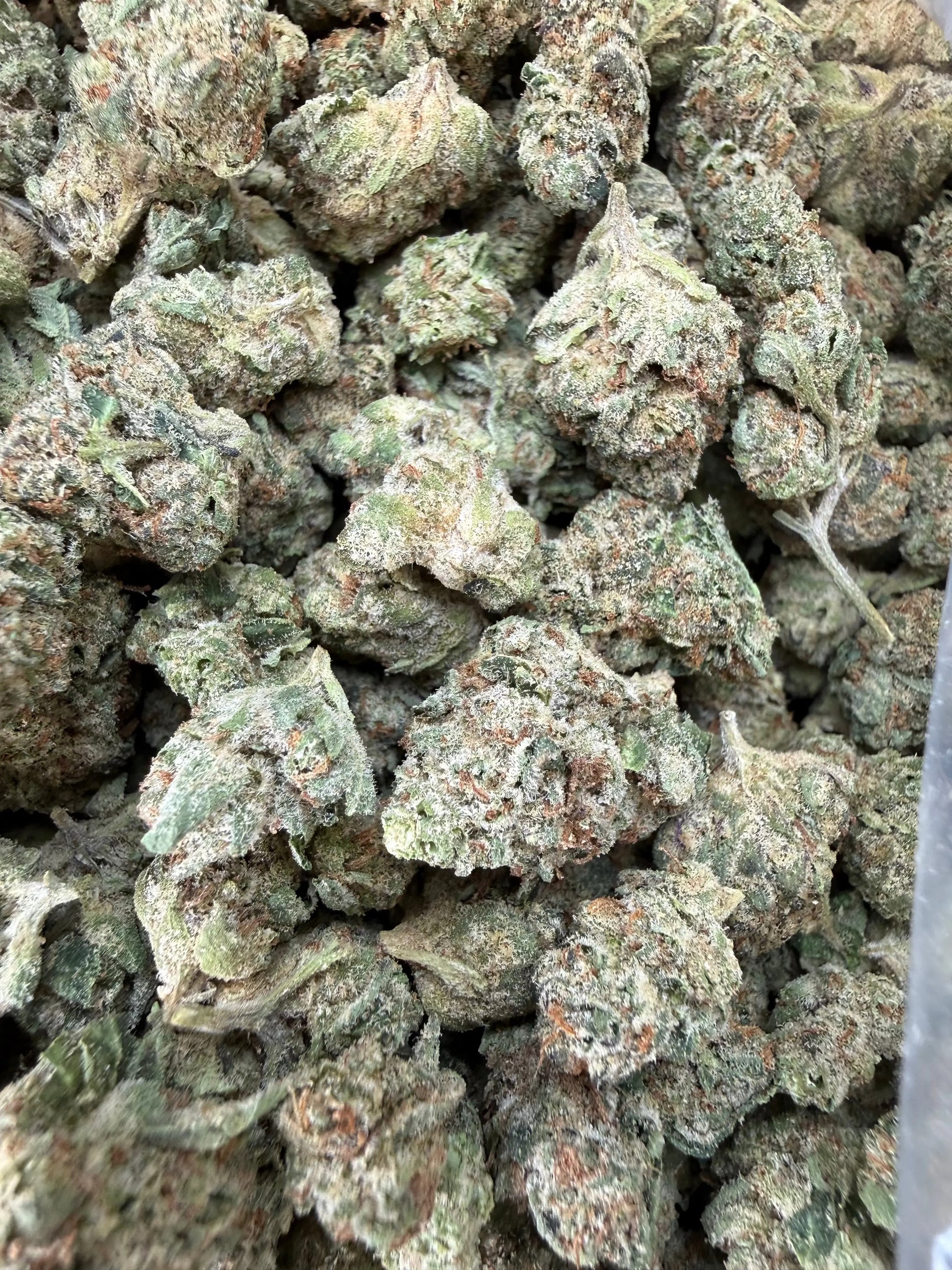 1 Pound - Raspberry Cough THCA Strain (Smalls) Frisco Labs