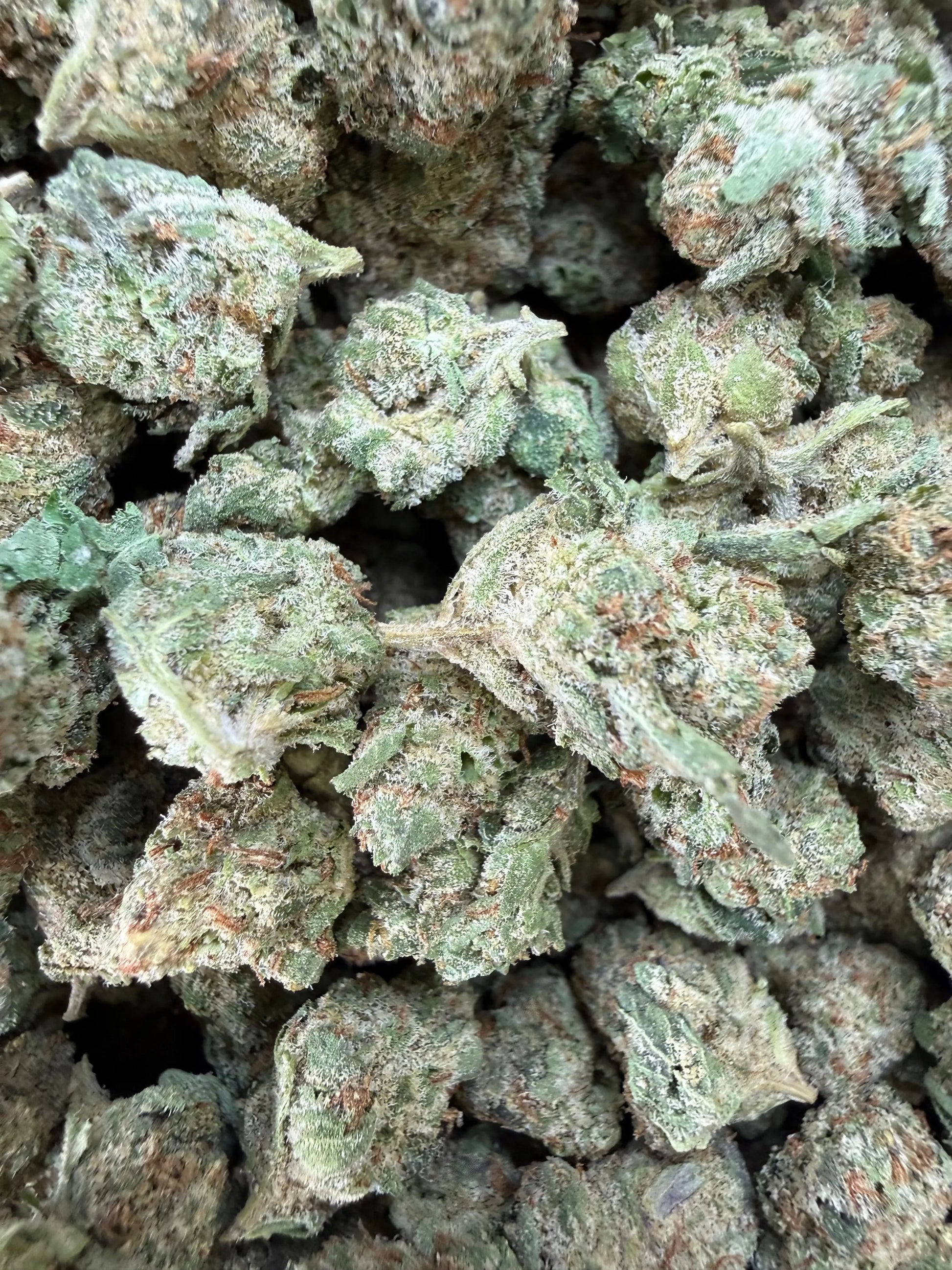 1 Pound - Raspberry Cough THCA Strain (Smalls) Frisco Labs