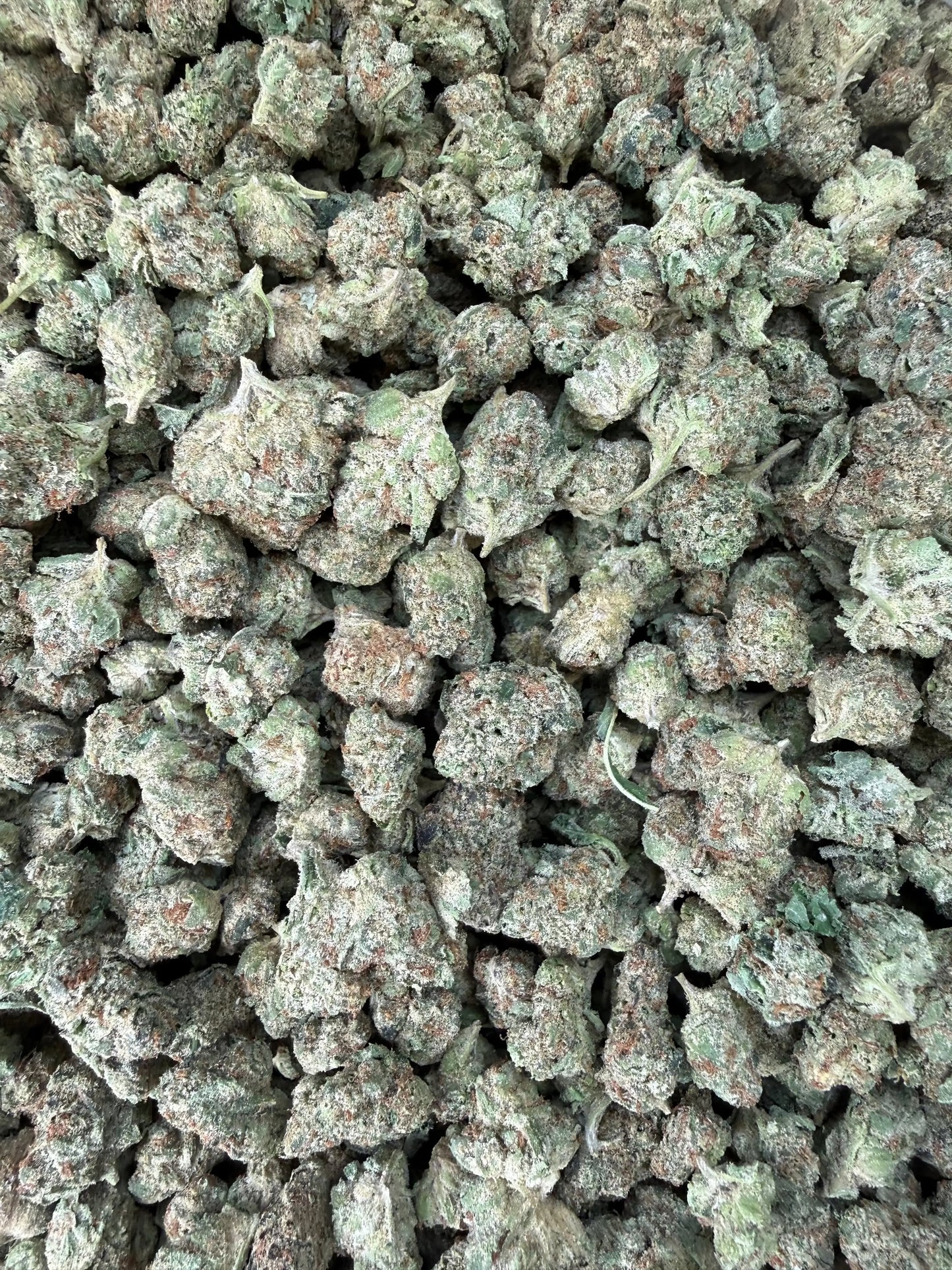 1 Pound - Raspberry Cough THCA Strain (Smalls) Frisco Labs