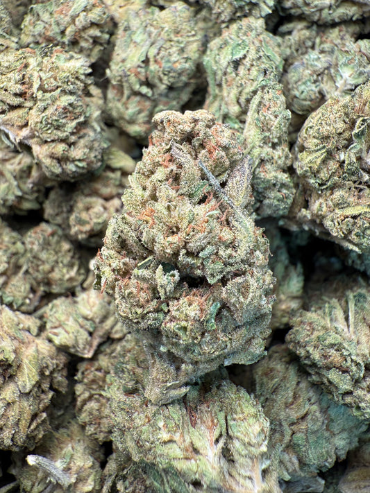 1 Pound - SFV OG THCA Strain FL Fulfillment Center
