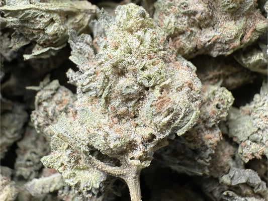 1 Pound - Sherbet THCA Strain (Smalls) Frisco Labs