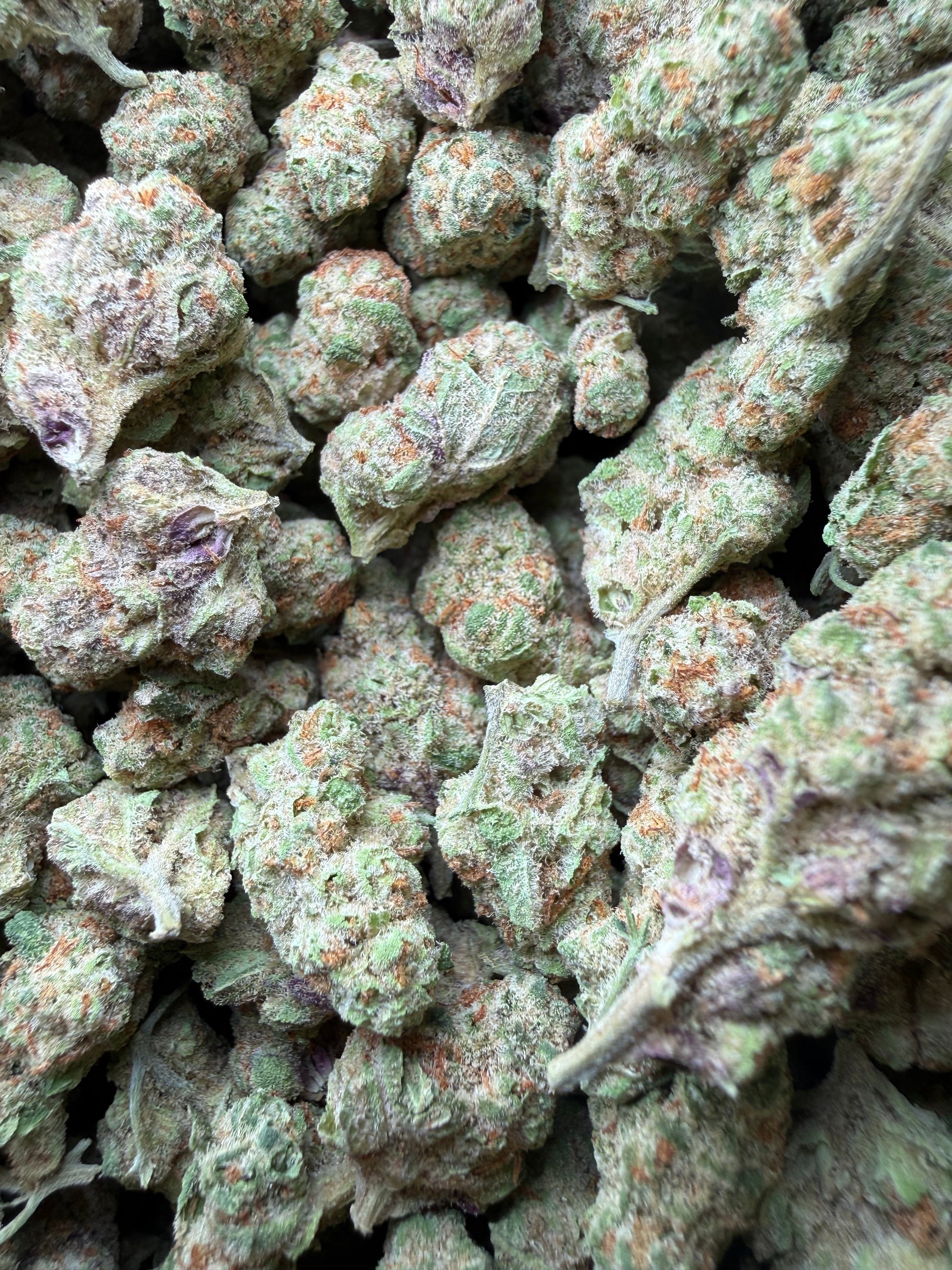 1 Pound - Grape Sugar Cookies THCA Strain (Smalls) Frisco Labs