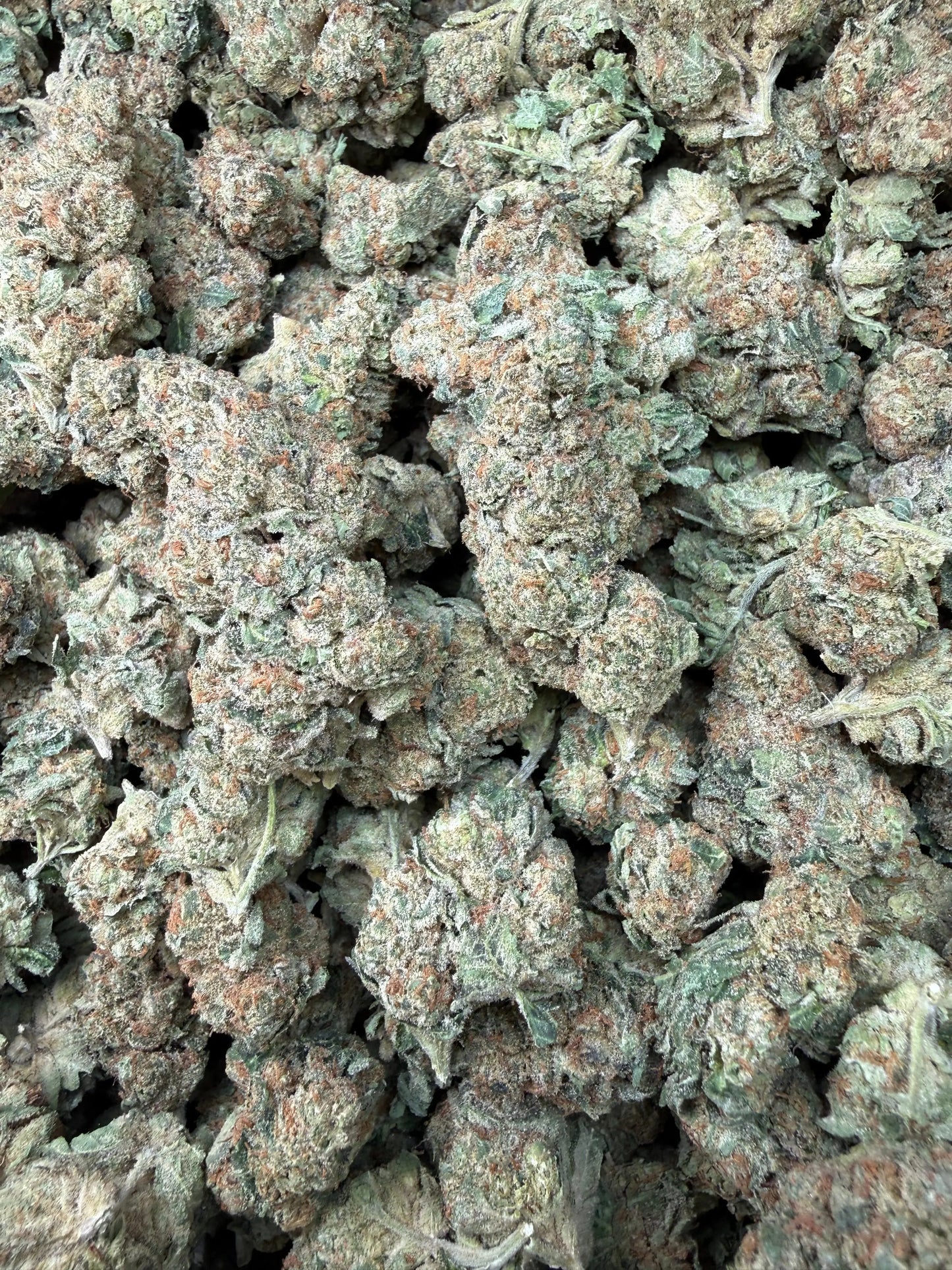 1 Pound - Slurricane THCA Strain Frisco Labs