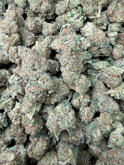 1 Pound - Slurricane THCA Strain Frisco Labs