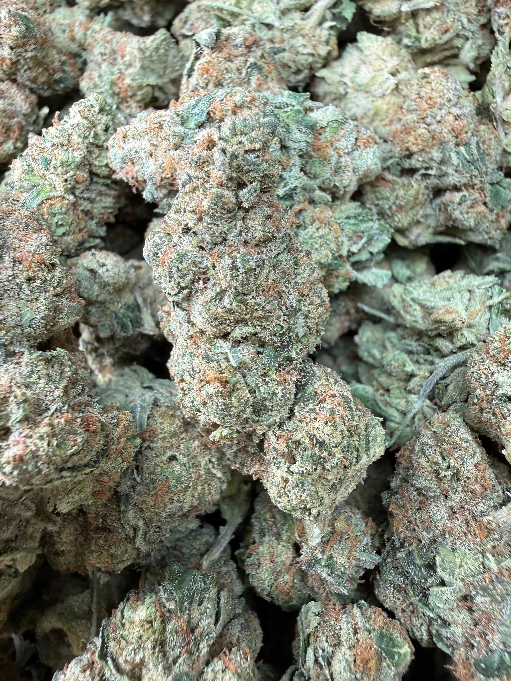 1 Pound - Slurricane THCA Strain Frisco Labs