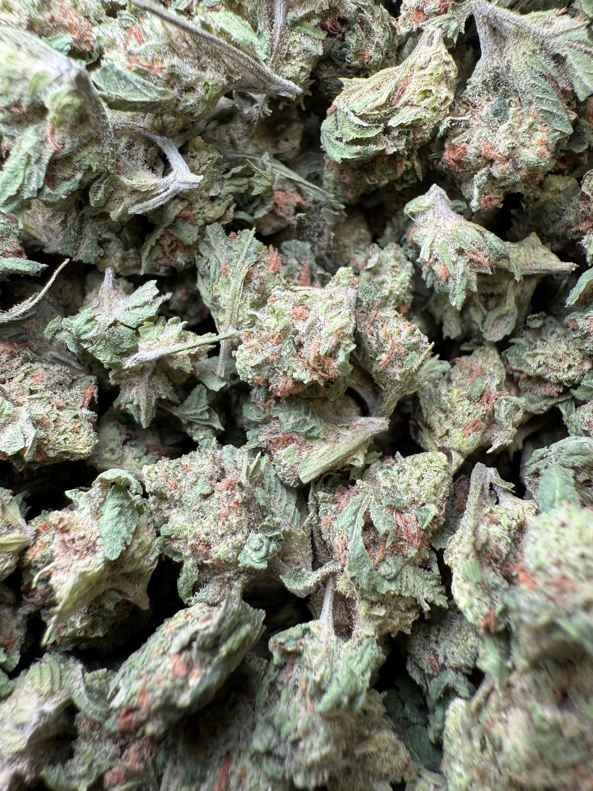1 Pound - Slurricane THCA Strain (Smalls) Frisco Labs