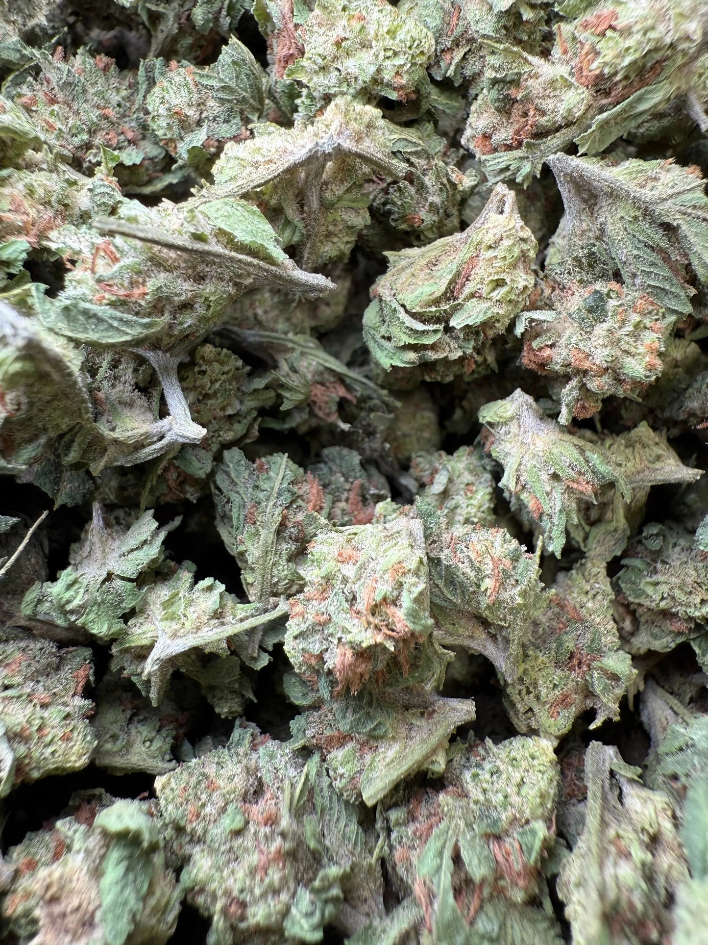 1 Pound - Slurricane THCA Strain (Smalls) Frisco Labs