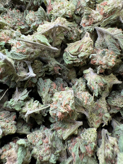 1 Pound - Slurricane THCA Strain (Smalls) Frisco Labs