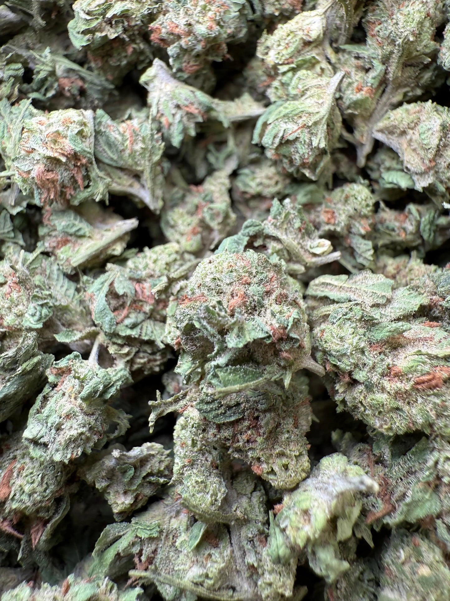 1 Pound - Slurricane THCA Strain (Smalls) Frisco Labs