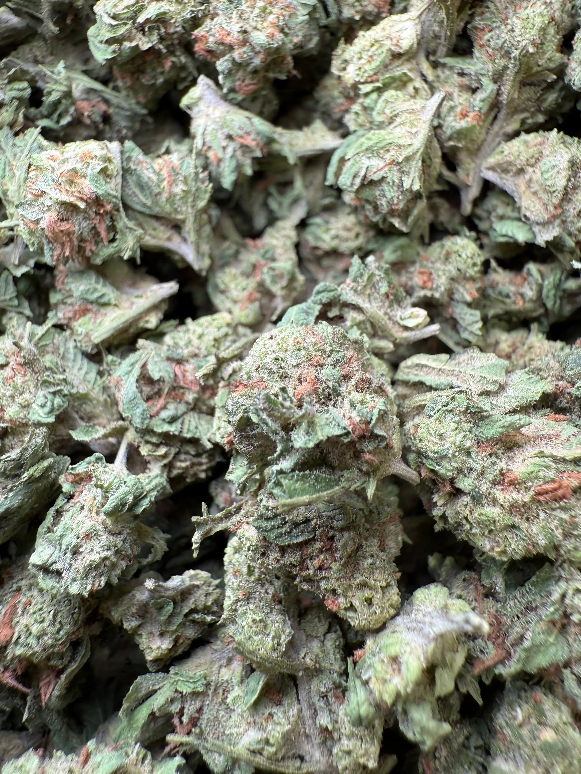 1 Pound - Slurricane THCA Strain (Smalls) Frisco Labs