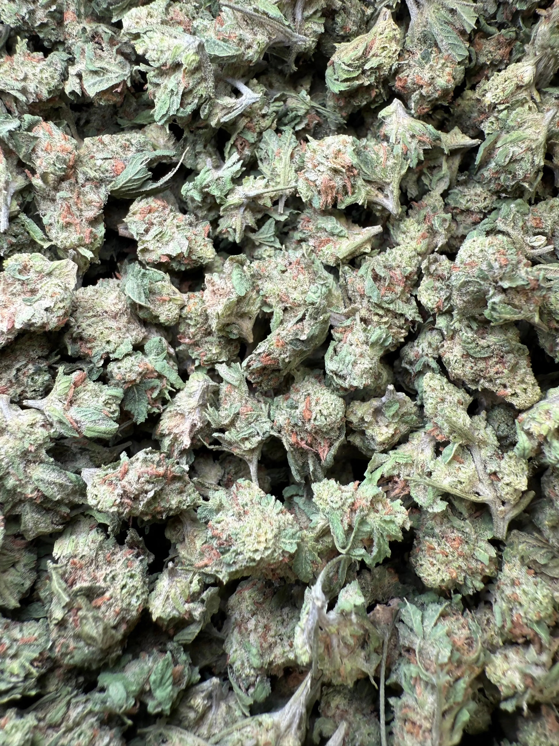 1 Pound - Slurricane THCA Strain (Smalls) Frisco Labs