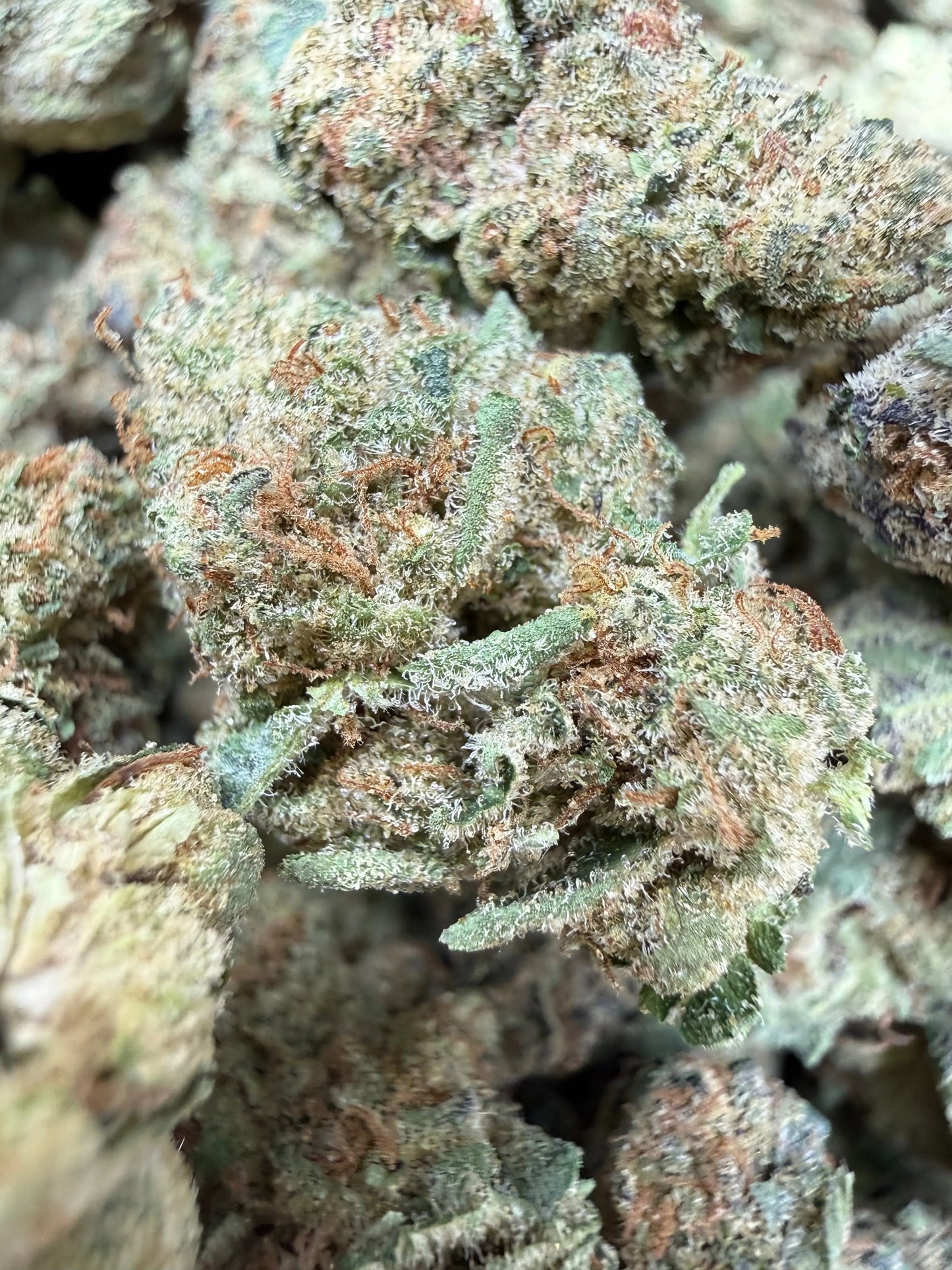 1 Pound - Space Queen THCA Strain Frisco Labs