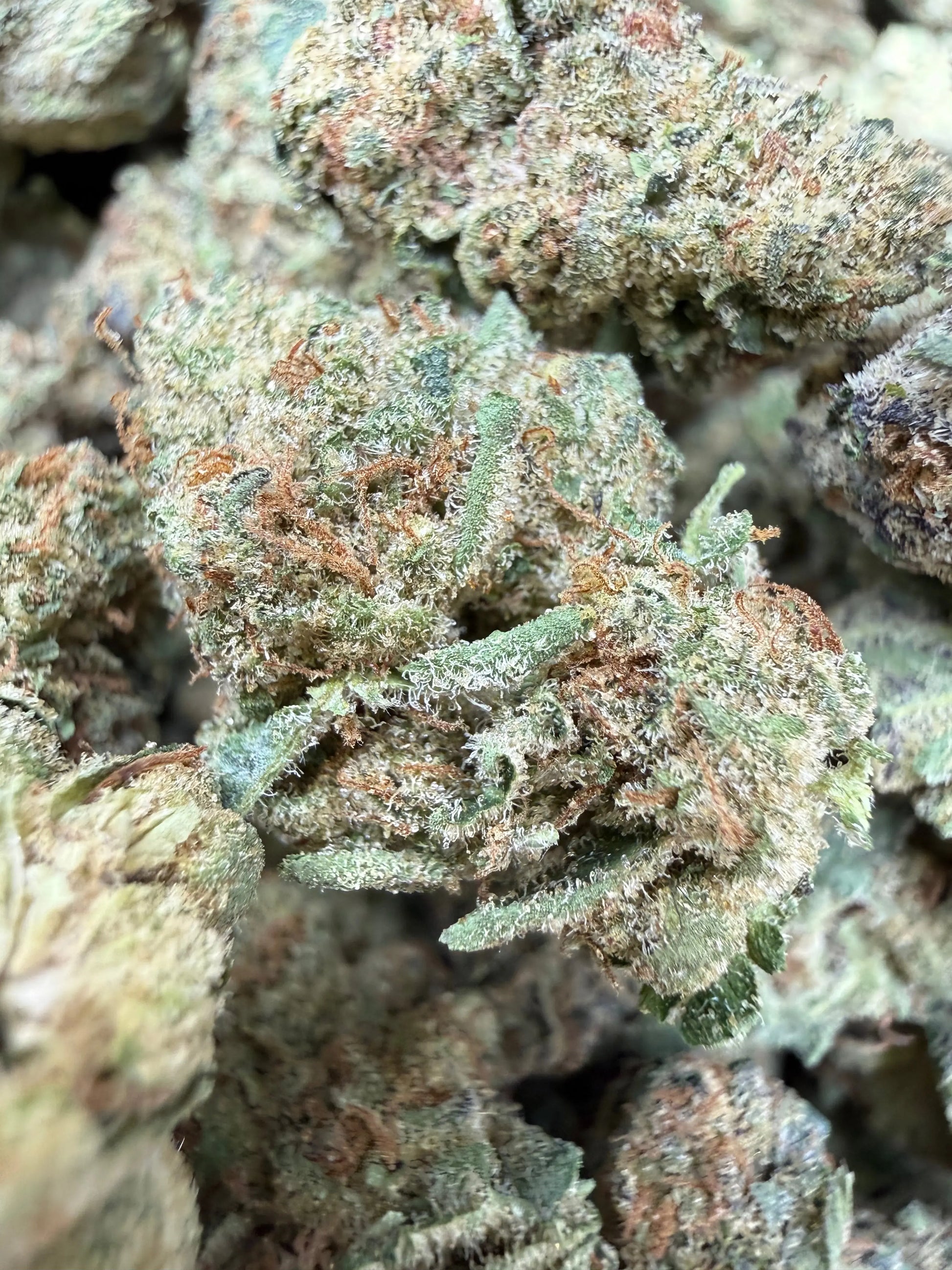 1 Pound - Space Queen THCA Strain Frisco Labs