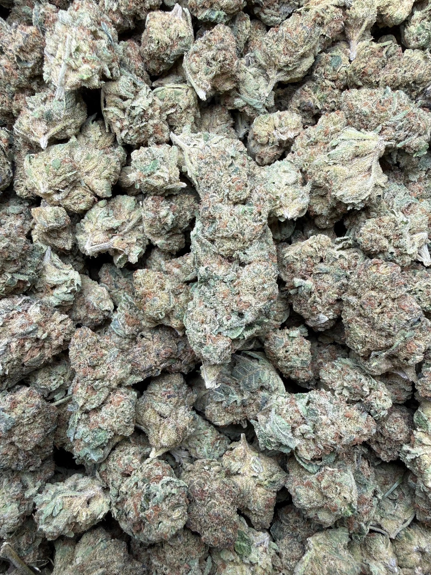 1 Pound - Space Queen THCA Strain Frisco Labs