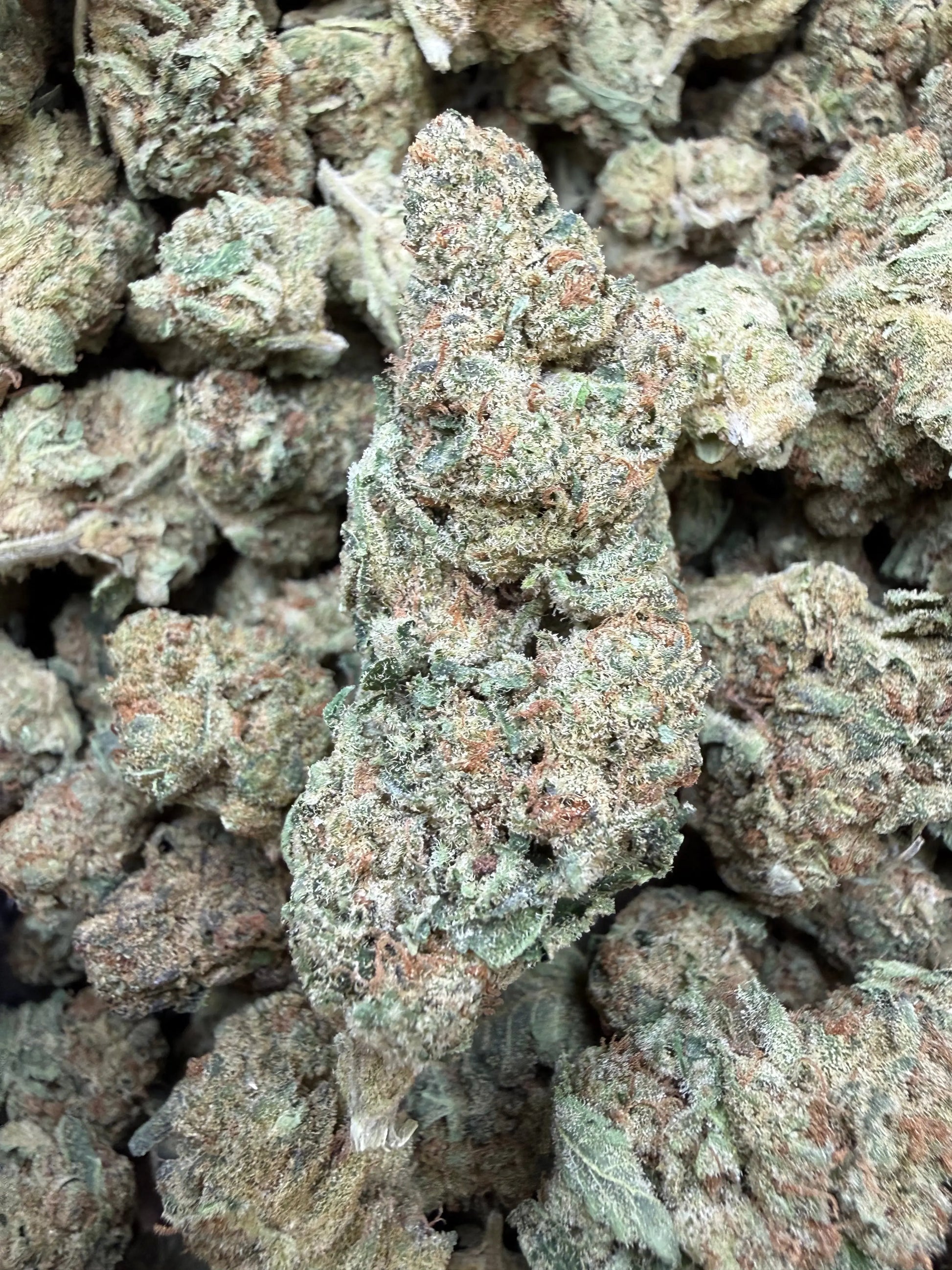 1 Pound - Space Queen THCA Strain Frisco Labs