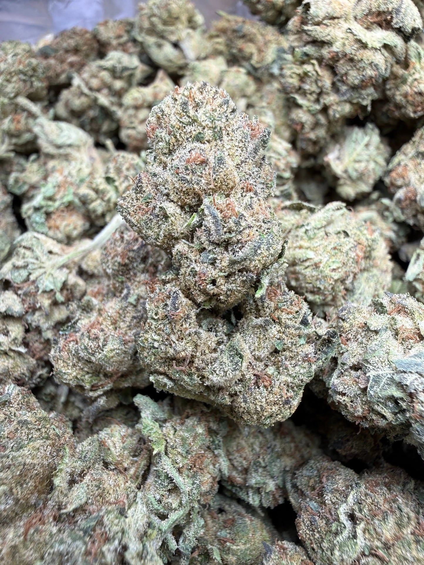 1 Pound - Space Queen THCA Strain Frisco Labs