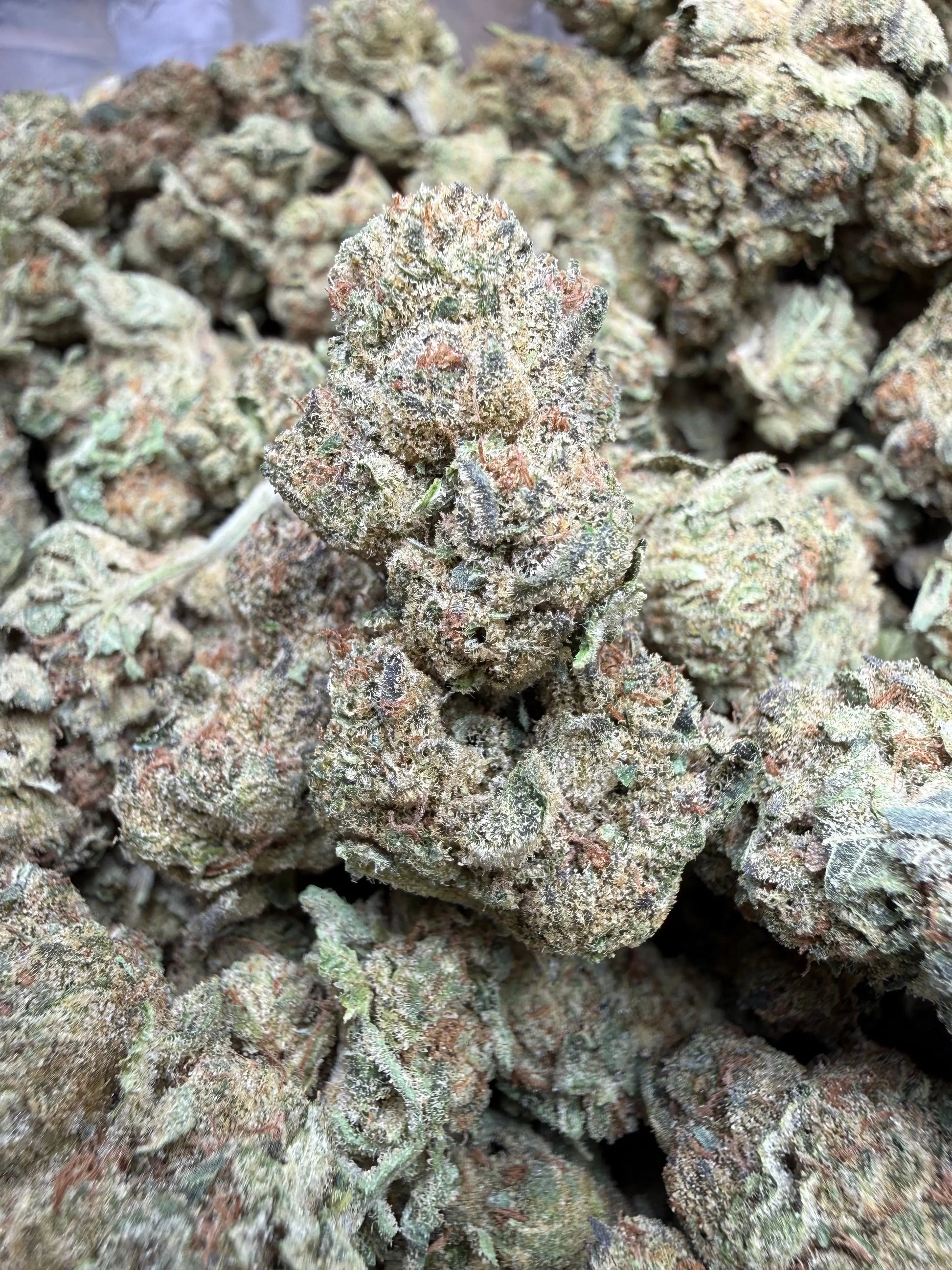 1 Pound - Space Queen THCA Strain Frisco Labs