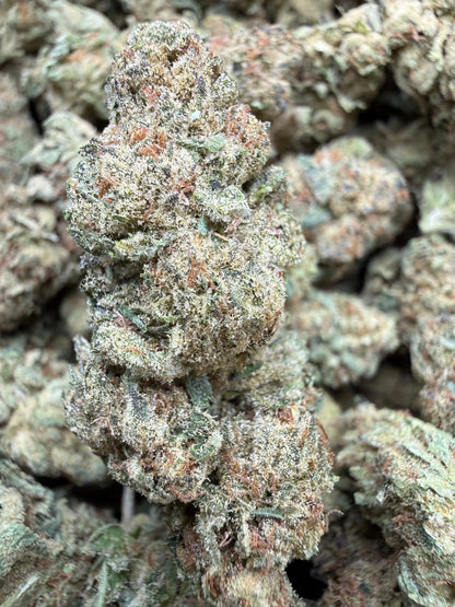 1 Pound - Space Queen THCA Strain Frisco Labs