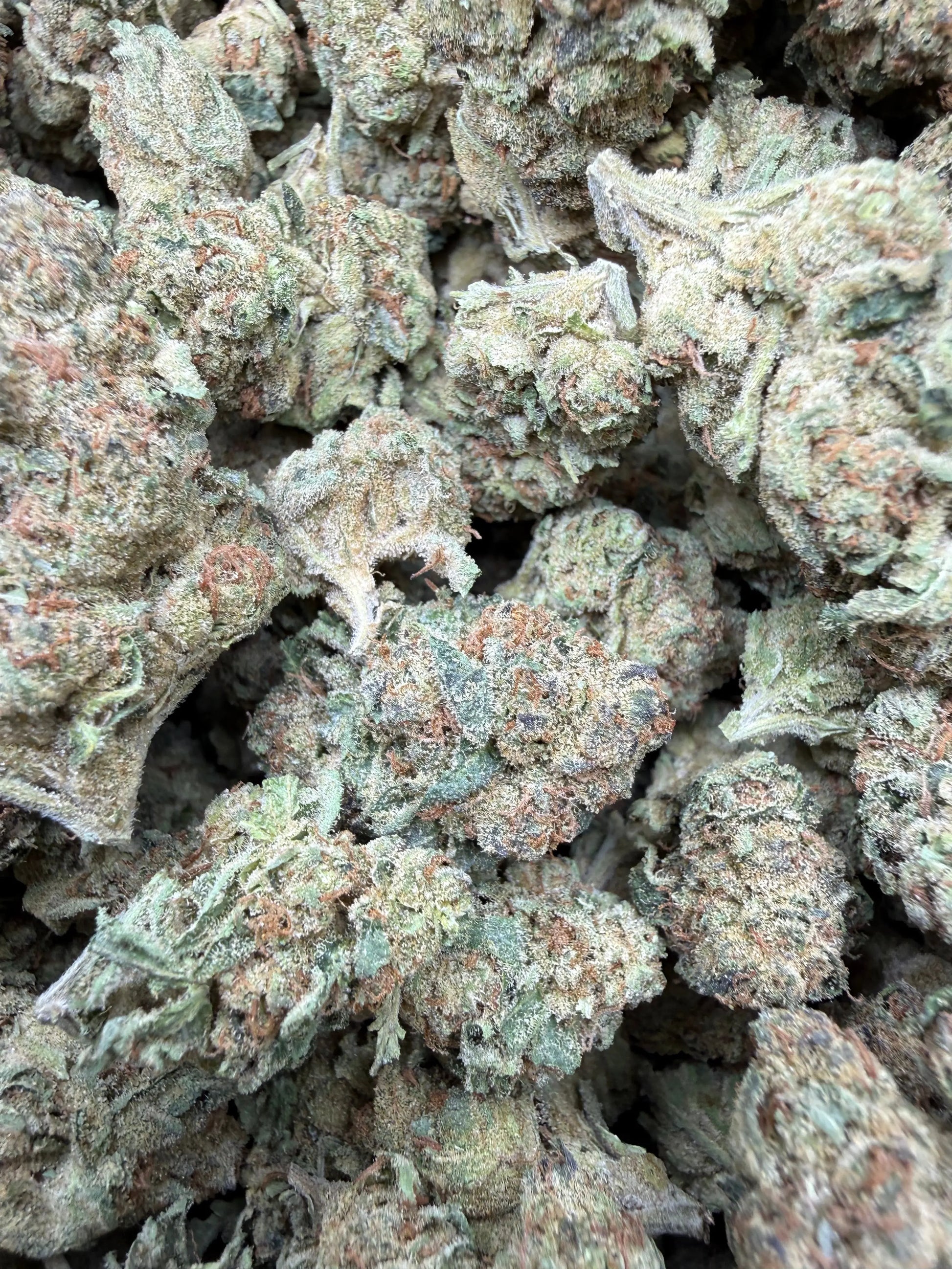 1 Pound - Space Queen THCA Strain Frisco Labs