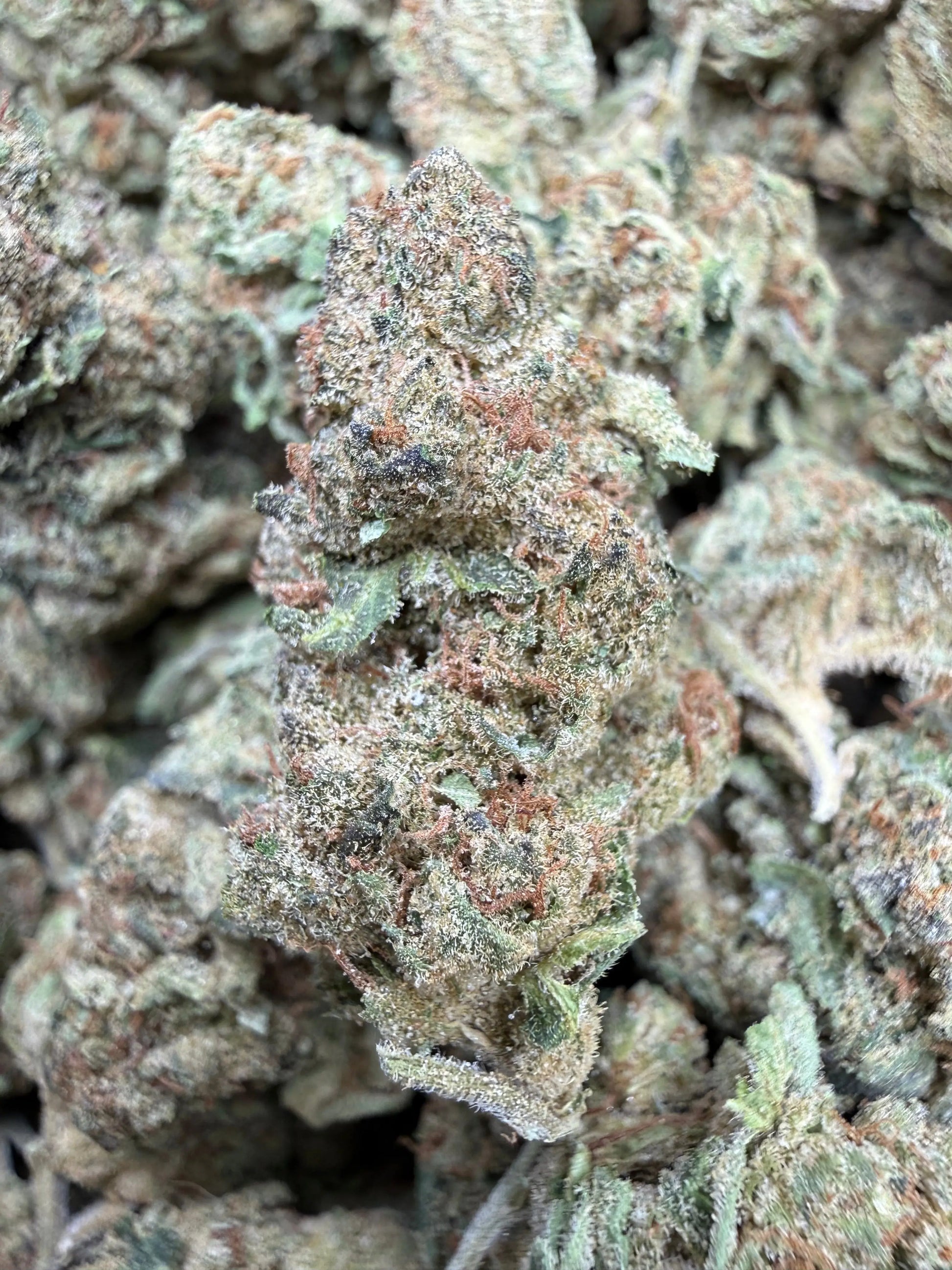 1 Pound - Space Queen THCA Strain Frisco Labs