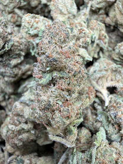 1 Pound - Space Queen THCA Strain Frisco Labs