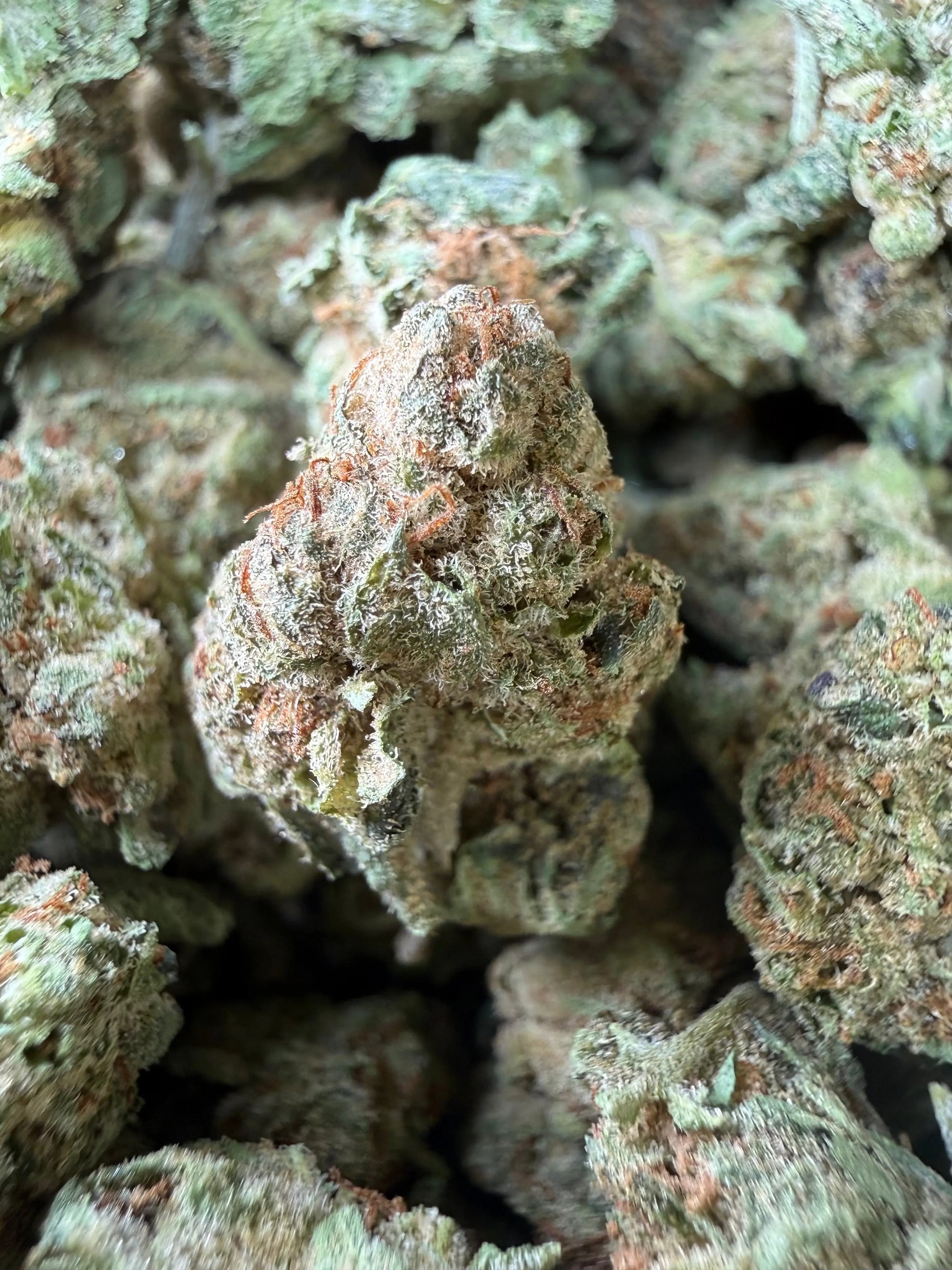 1 Pound - Space Queen THCA Strain (Smalls) Frisco Labs